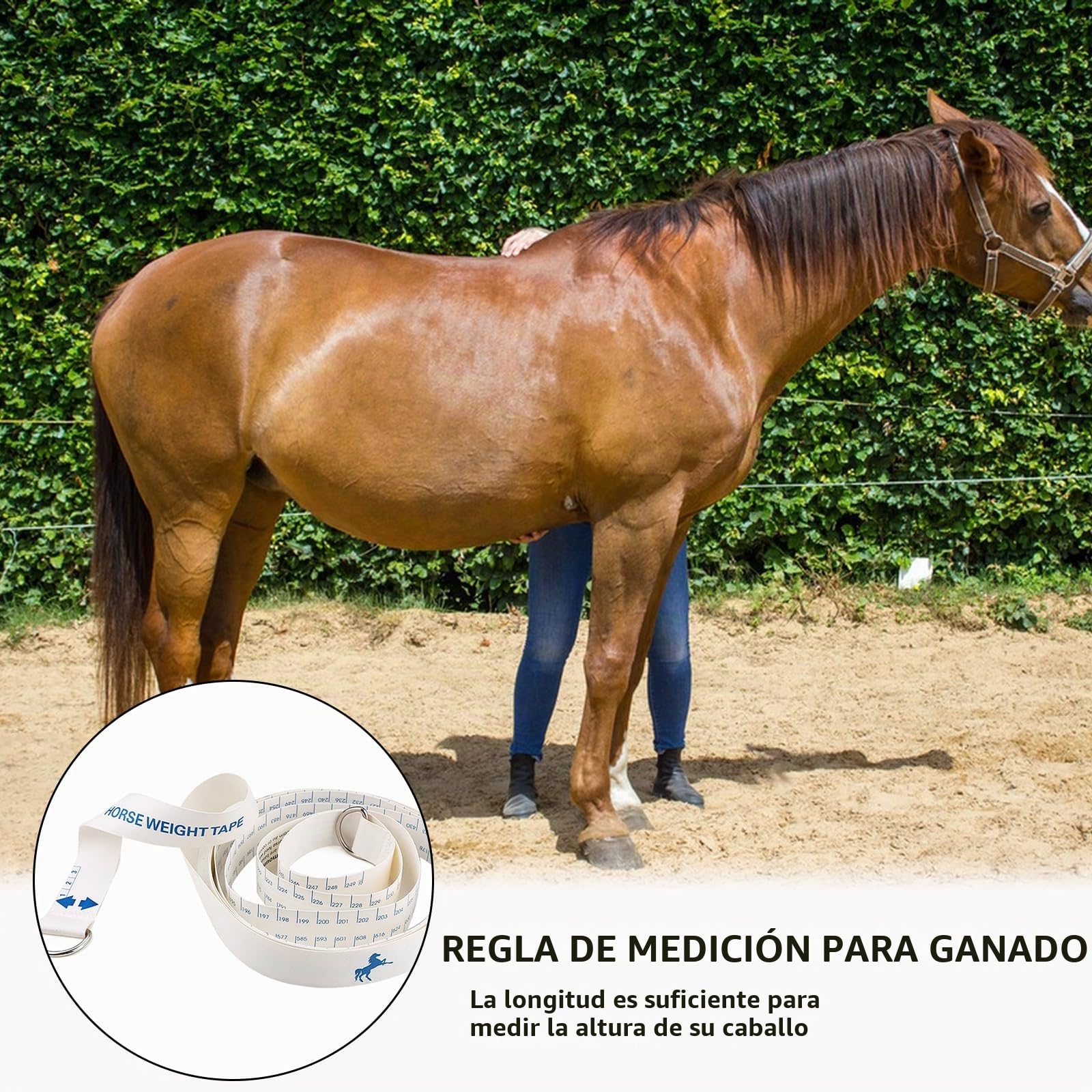 Cinta de peso de caballo, varilla de medición portátil para altura y peso, cinta métrica de cintura de caballo de doble escala, cinta métrica de altura y peso fácil de medir, cinta métrica de peso