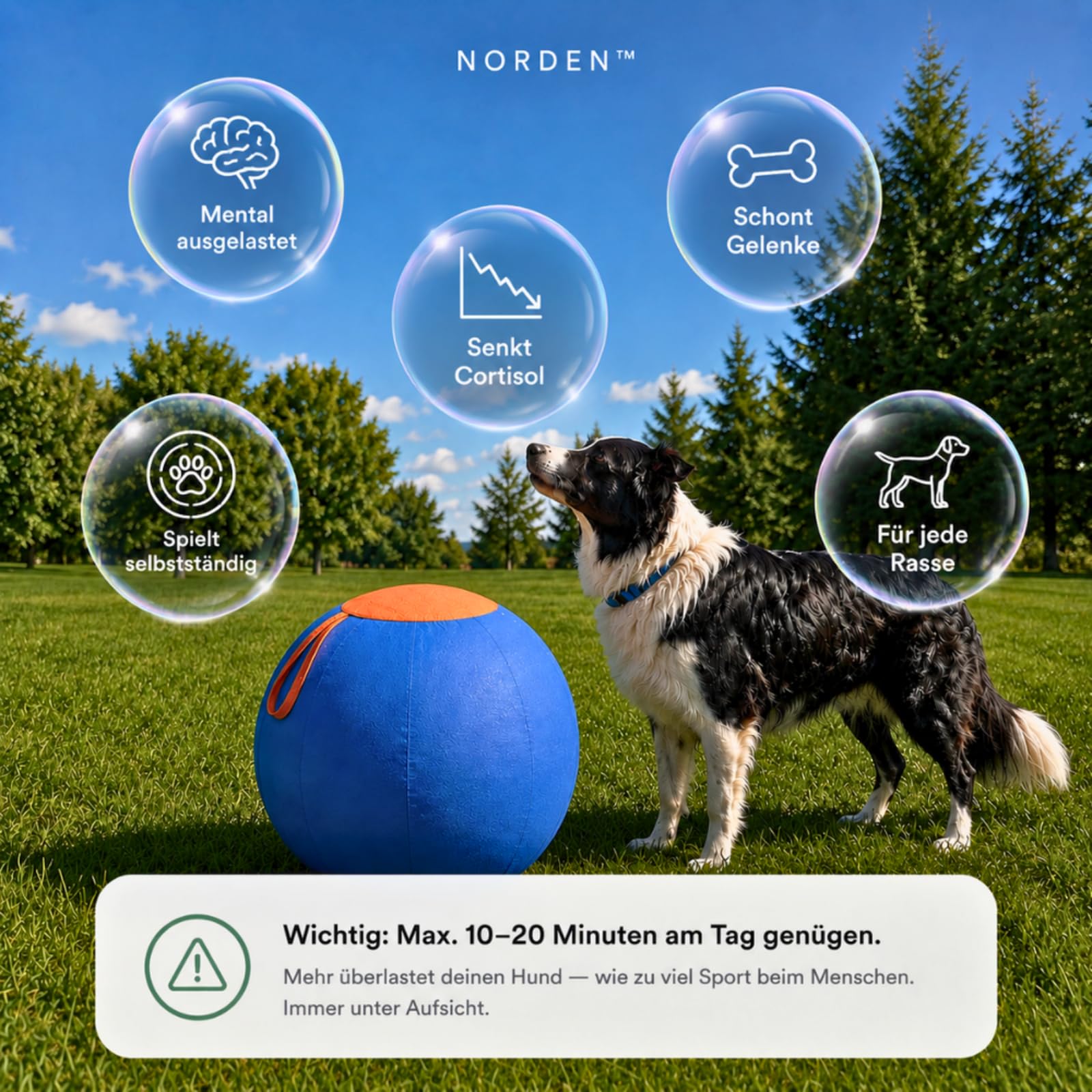 Lentiva Treibball Original,Norden Treibball,Ball für Hunde,Kau und kratzfestes Hundespielzeug mit Handschlaufe,Interaktives Hundeball für Innen und Außenbereich