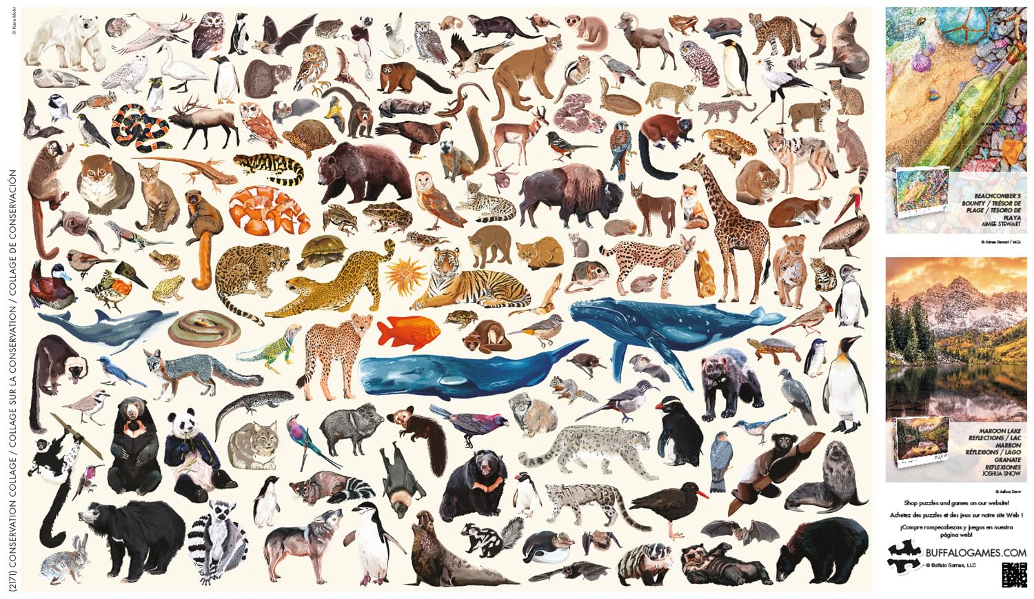 Buffalo Games - Kara Mohr – Collage de Conservation – Puzzle de 2000 pièces pour Adultes – Puzzle Stimulant Parfait pour Les soirées de Jeu – Taille finie : 38,50 x 26,50 cm