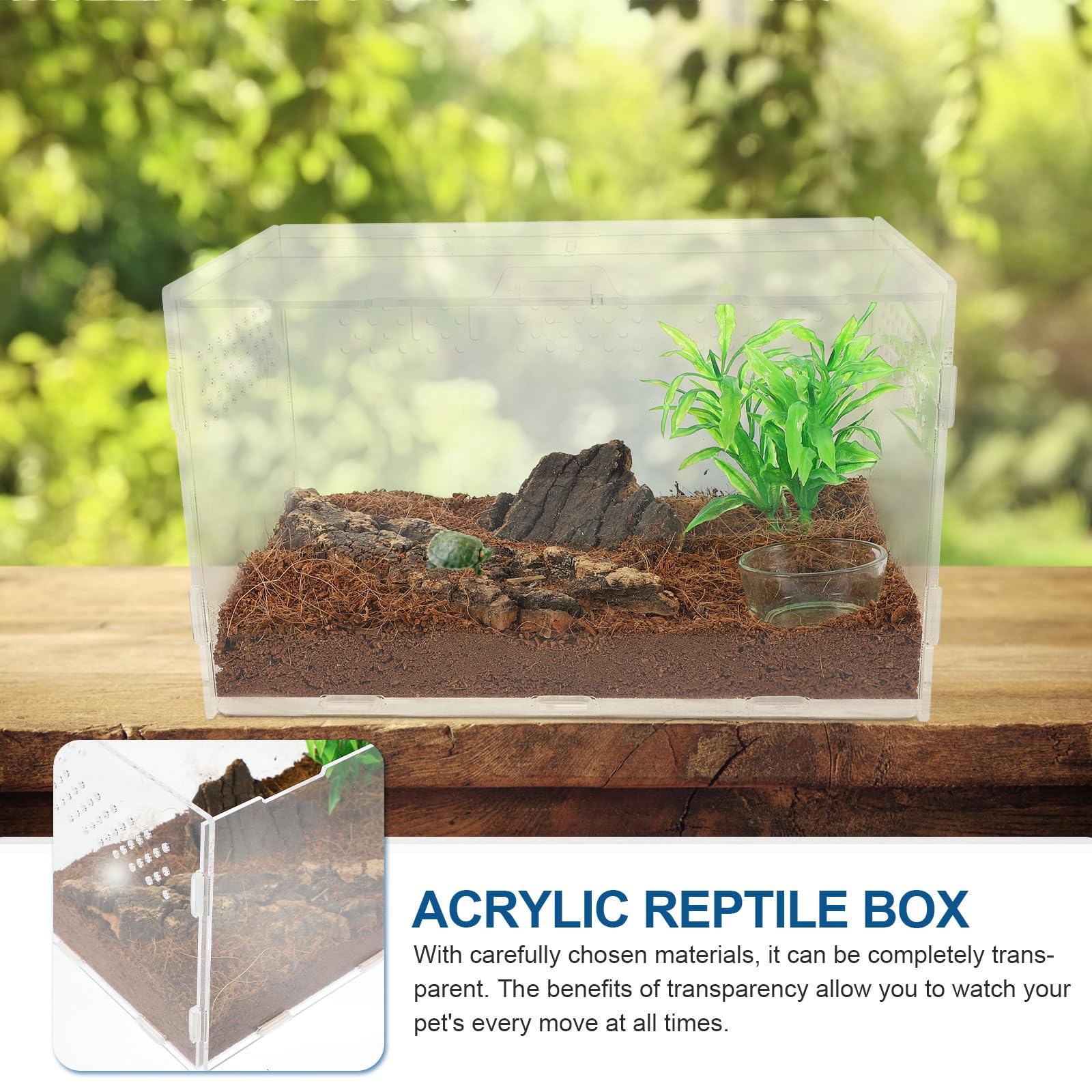 Terrario Acrilico Trasparente per Rettili e Aracnidi Ventilazione, Vasca da 25x15x15 Cm per Lucertole, Ragni, Scorpioni e Piccoli Animali Esotici