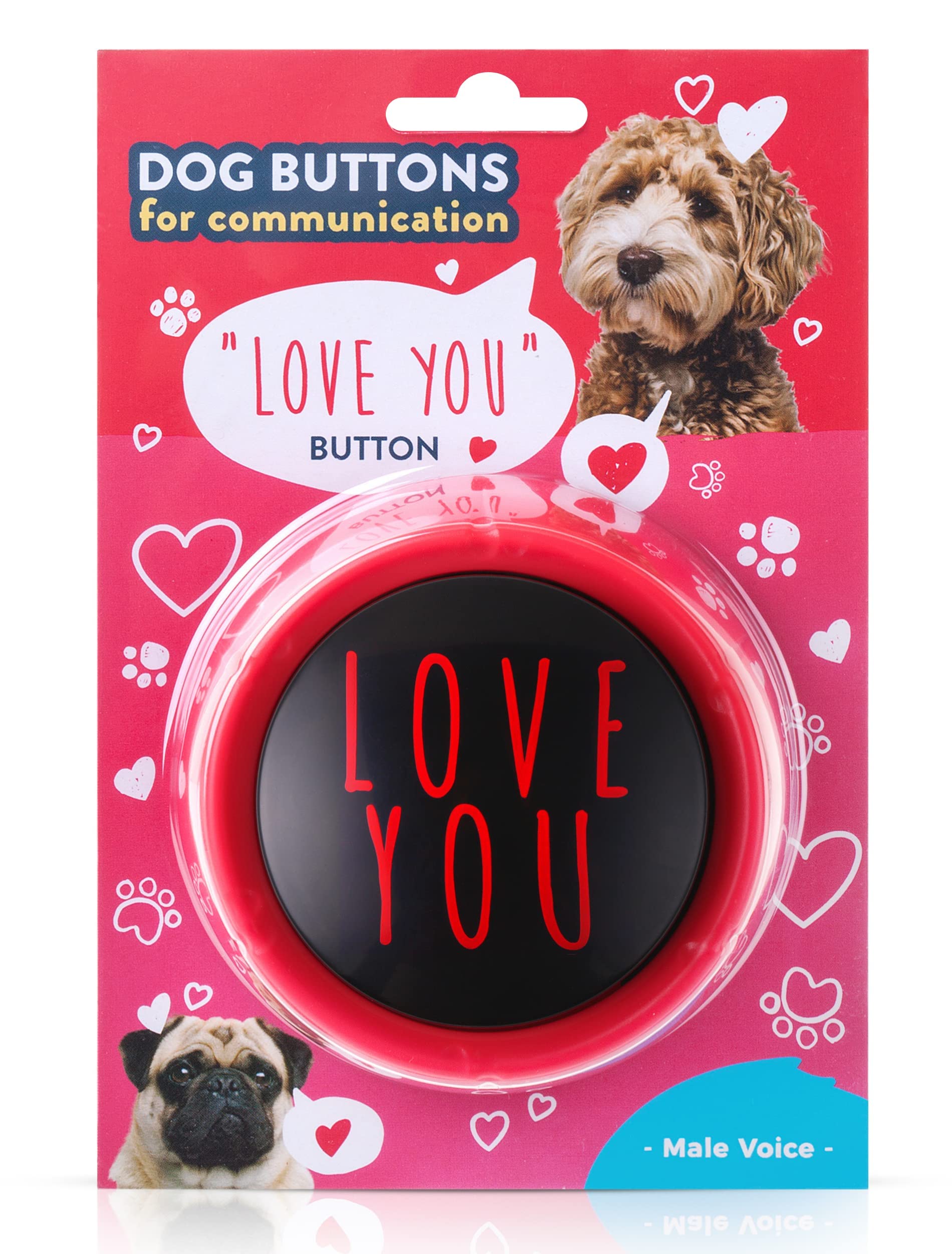 How To Train Your Dog To Love You