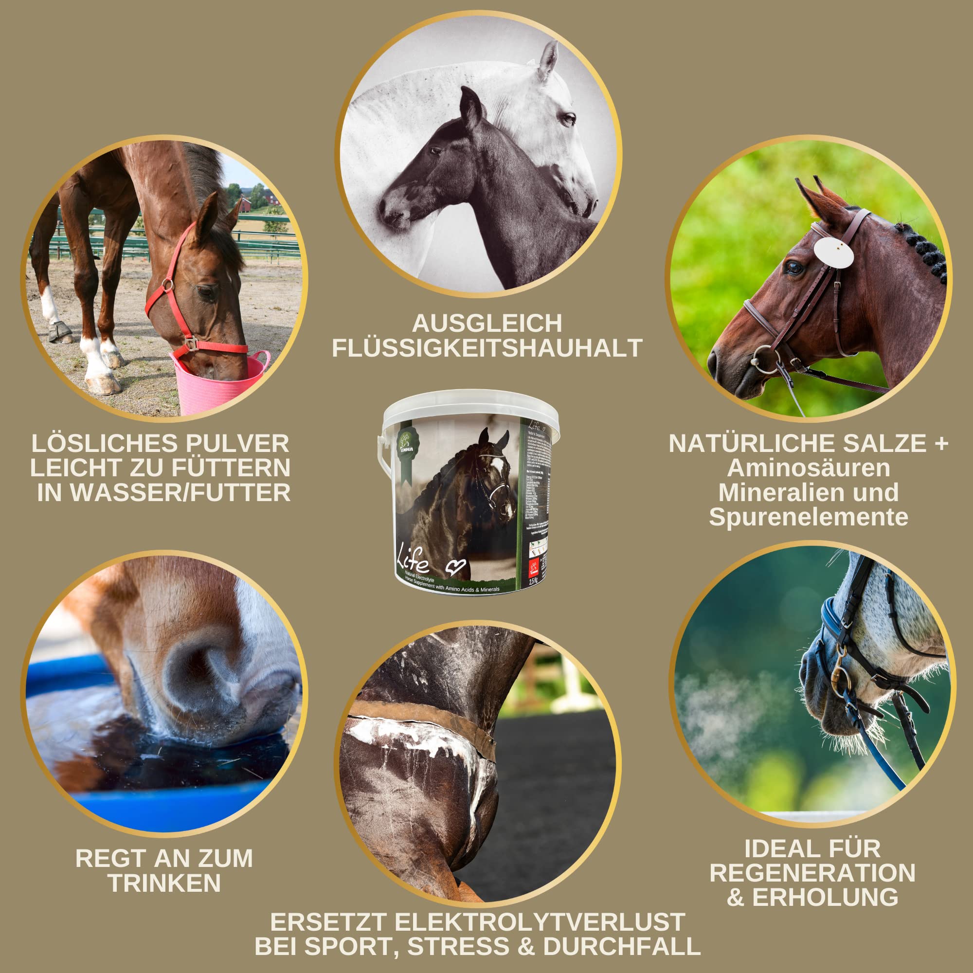 Elettroliti Cavallo I Polvere I Complesso di Aminoacidi I Sali Vitamine I Puro al 100% I Minerali Pelle Manto Zoccolo I Dopo Diarrea Sudorazione Vomito Acqua Booster Energetico Amino Cavalli 2,5Kg