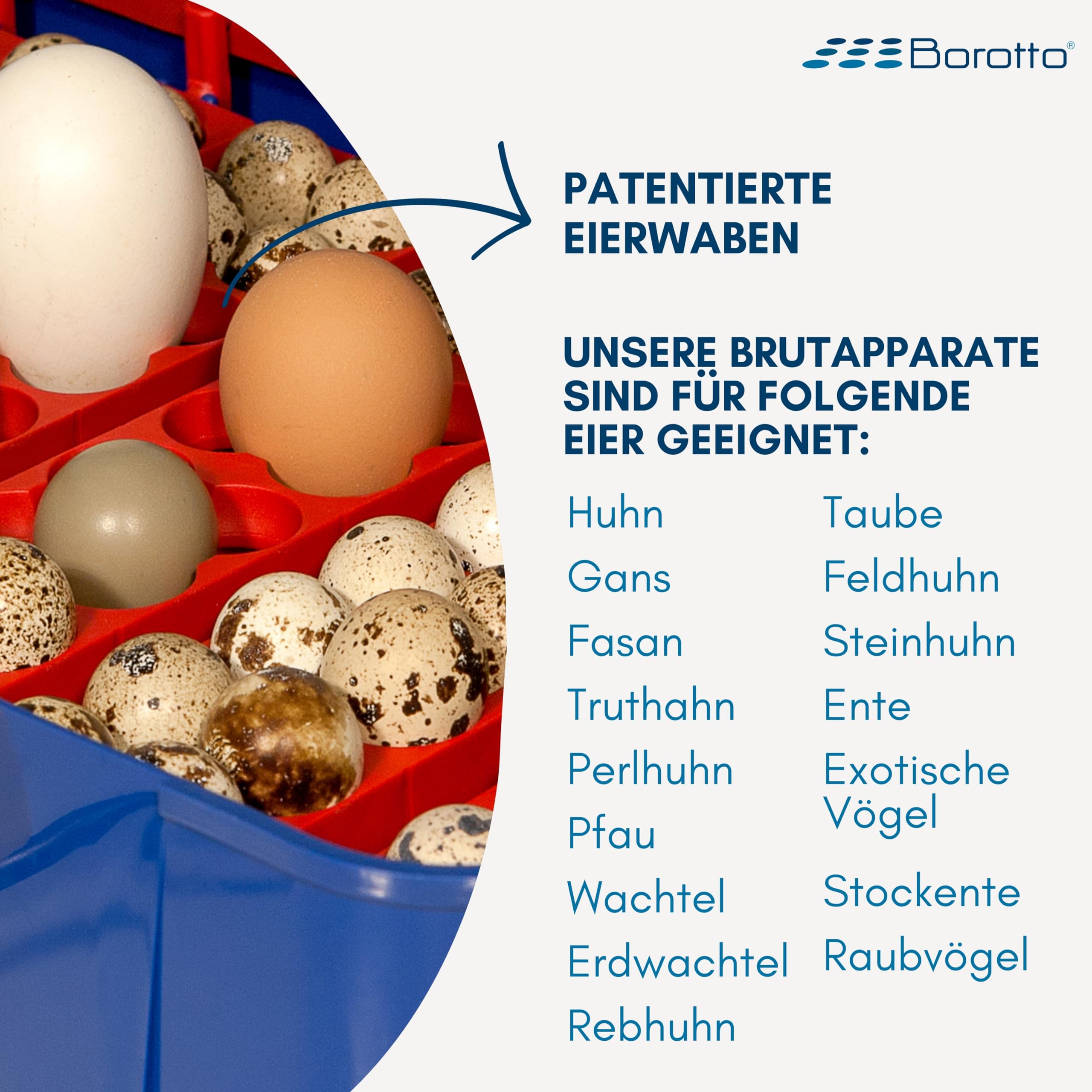 Borotto Real 24 Semi Automatische | Inkubator für 24 Eier oder 96 Kleine Professionelle Brutmaschine mit Halbautomatische Ei Wendung und Temperaturkontrolle | Hergestellt in Italien