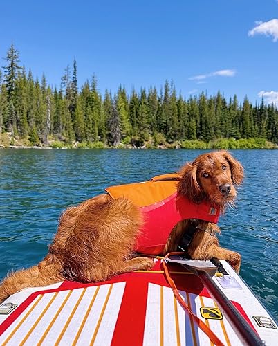 Miniatura 6 de iROCKER Blackfin Model XL Inflatable Stand Up Paddle Board, 11'6" Long 34" Wide 6" Thickness SUP with Fins & Repair Kit