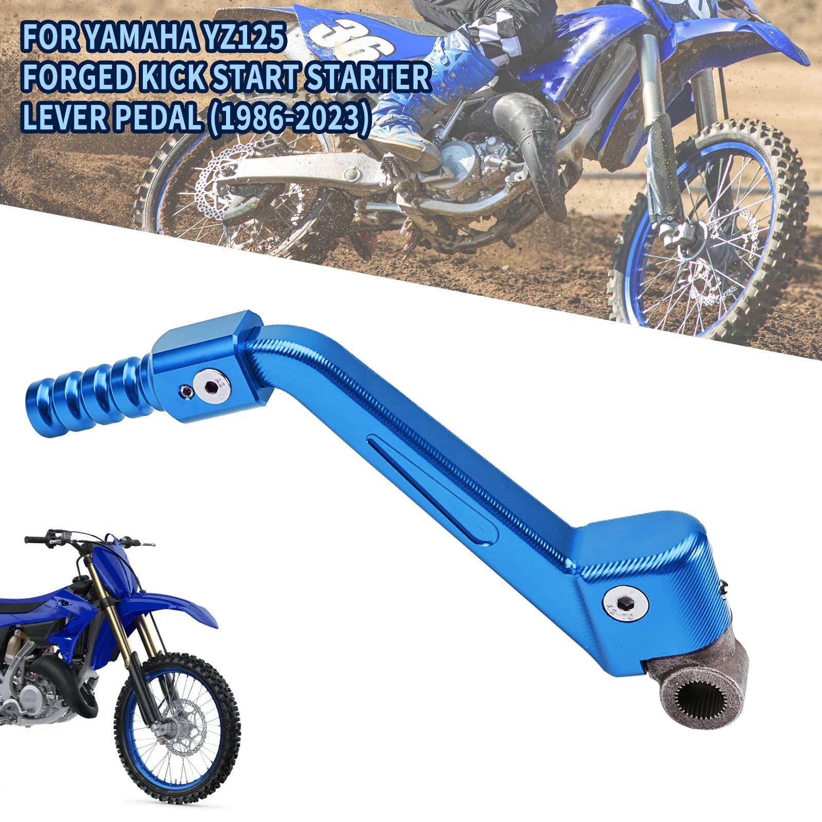 ロックンローラー imgrc0073464666.jpg