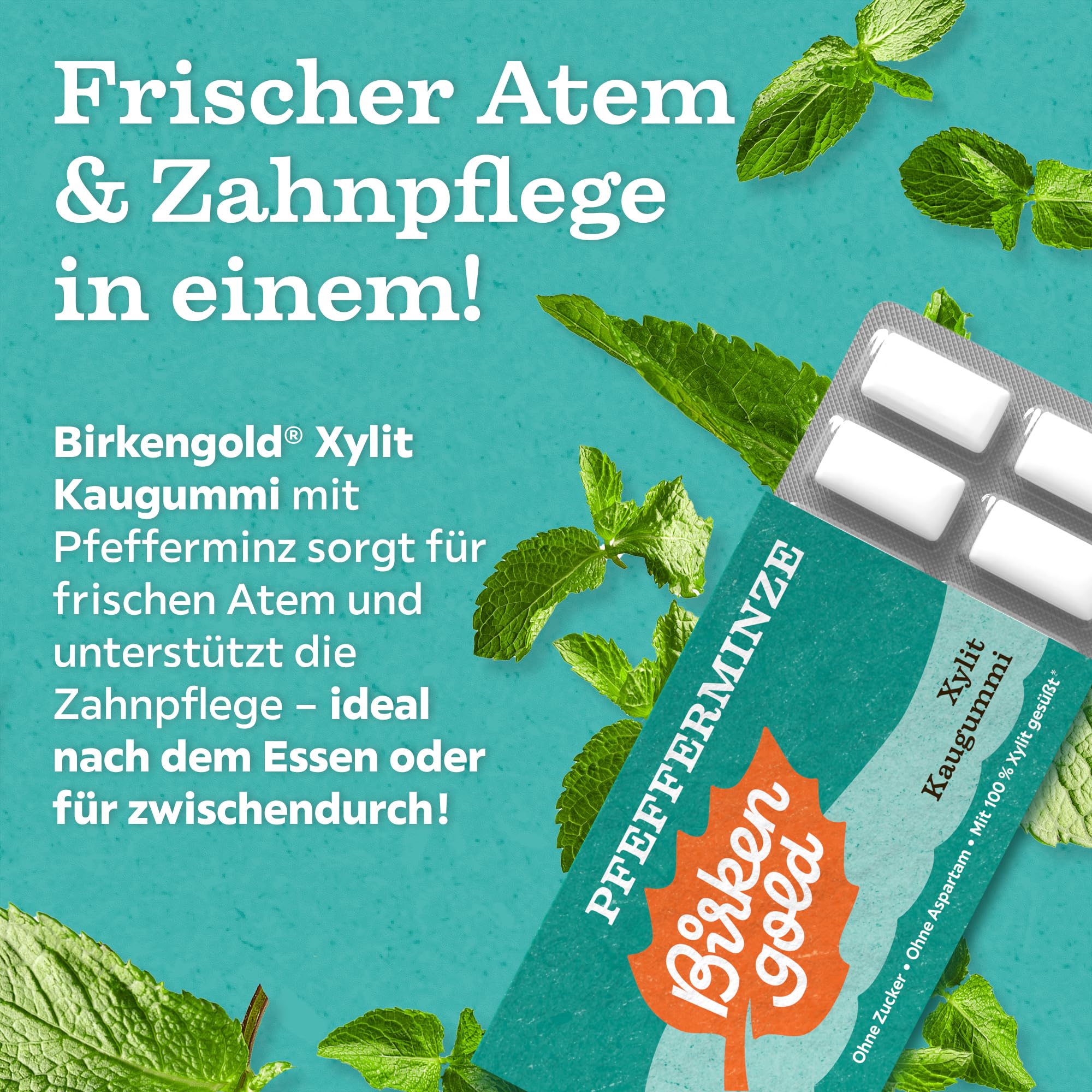 Birkengold Xylit Kaugummi Pfefferminze | 12 Stk. Blister | Zahnpflege-Kaugummi | Zuckerfrei | Hoher Xylit-Anteil 70% | Vegan | Ohne Titandioxid | Ohne Aspartam | Mit Birkenzucker