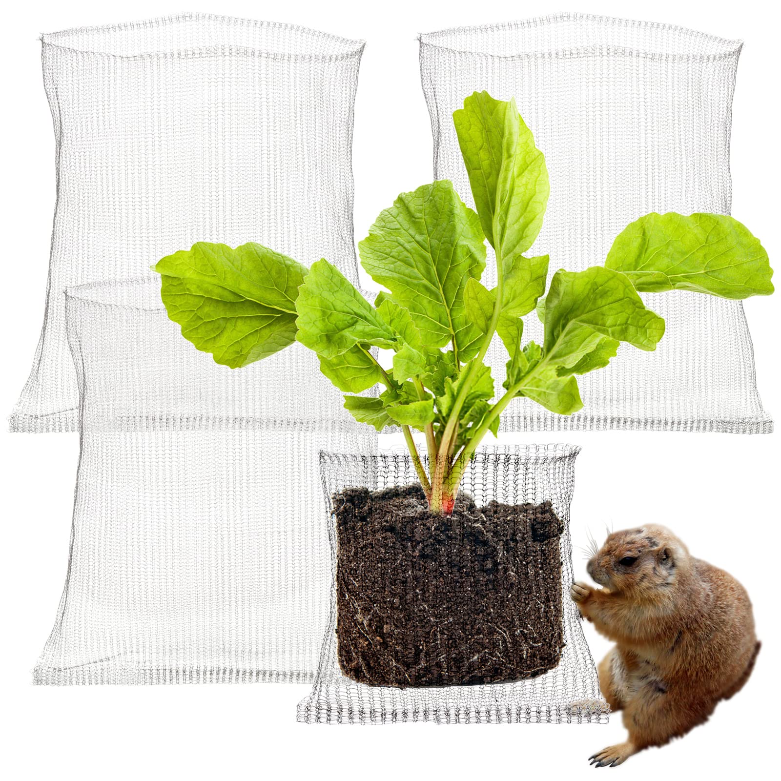 LEMCC 4PCS Mesh Root Protector for Plants 50x45cm Stainless Steel Root Guard Baskets Gopher and Vole Wire Baskets for Plant Berries Vegetables Root Protection