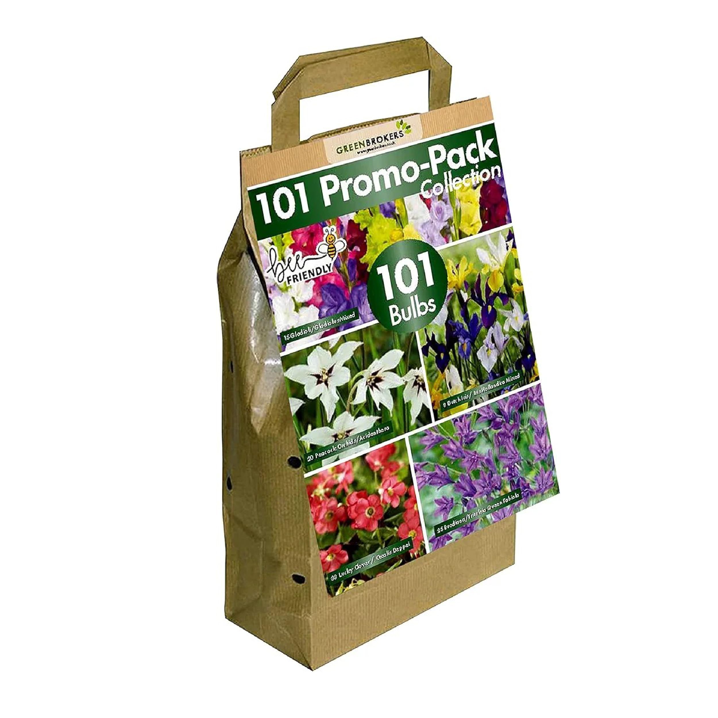 GreenBrokers 101 Promo Pack Collection Summer Flowering Bulbs, Mixed Colours (101 Bulbs, 5 Different Varieties) "Bee & Butterfly Friendly"