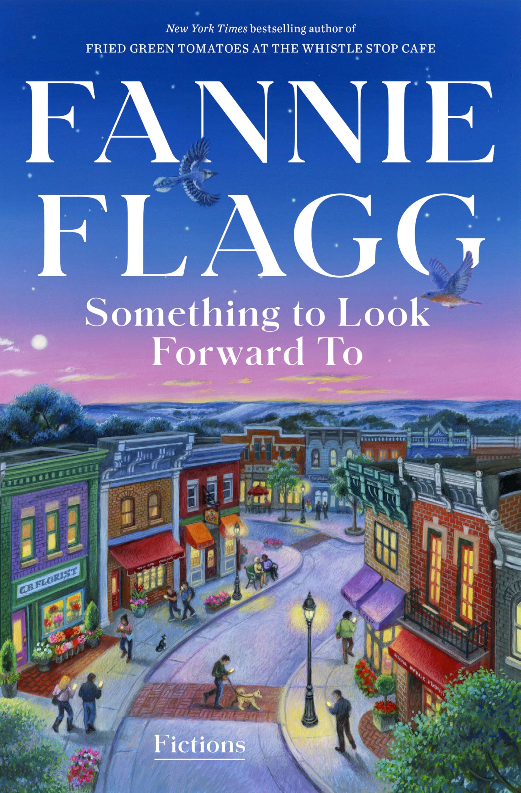 Something to Look Forward to: Fictions