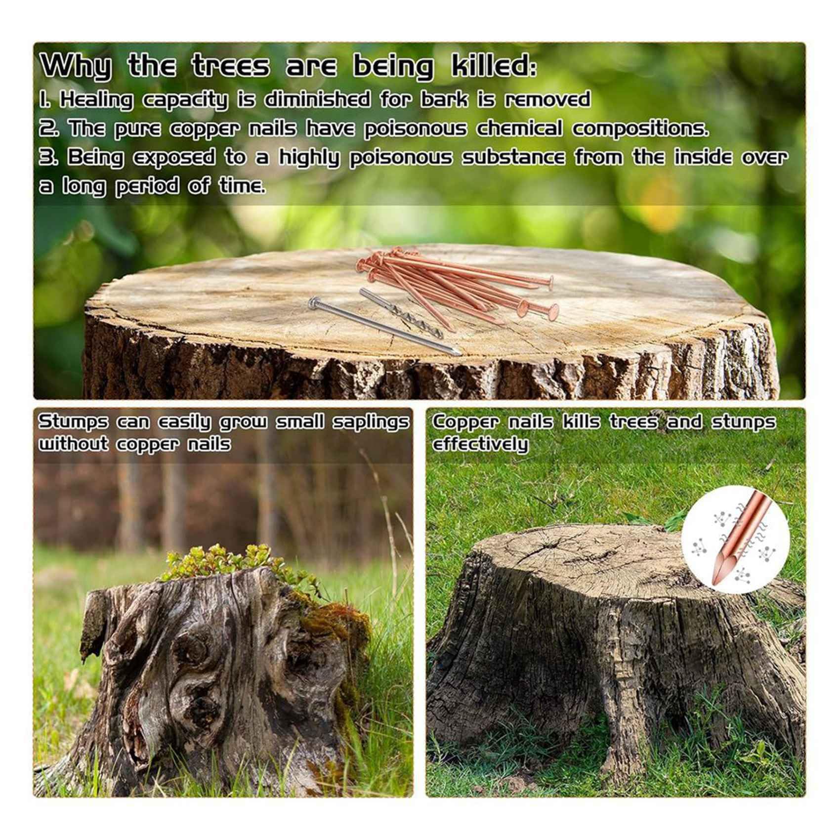 Wuden 42Pcs Copper Nails Kit to Killing Trees,3.5 Inch Pure Copper Nails Bulk,Stump Removal Spikes Hardware Nails for Trees