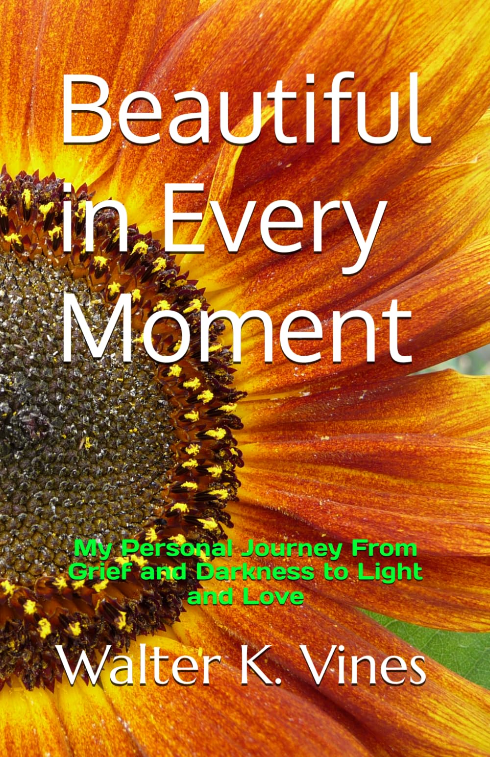 Beautiful in Every Moment: My Personal Journey From Grief and Darkness to Light and Love