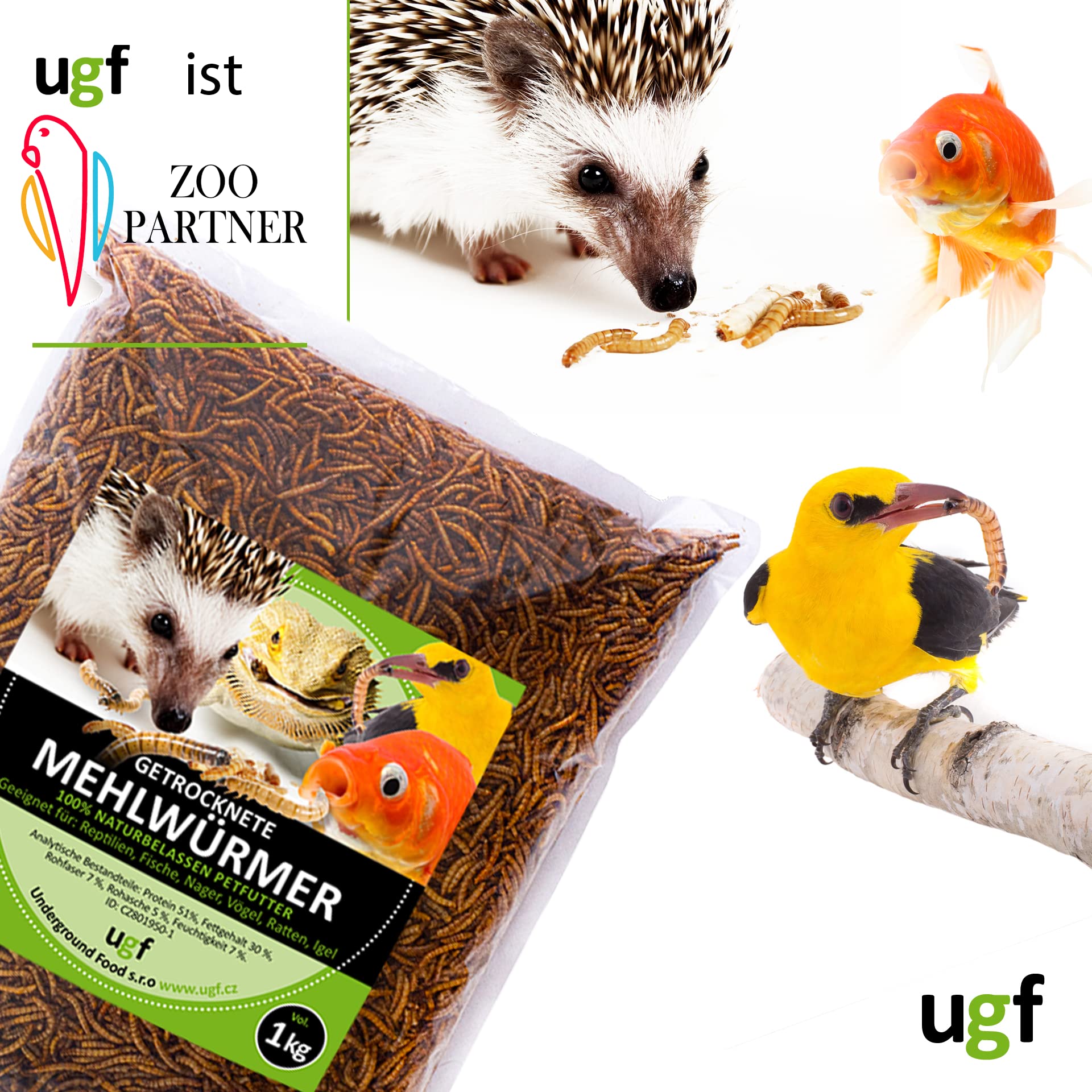 UGF - vers de Farine séchés de qualité supérieure 1 kg, friandises à Base d'insectes pour Oiseaux, Hamsters, hérissons, rongeurs, lézards, Tortues - sans conservateurs ni colorants