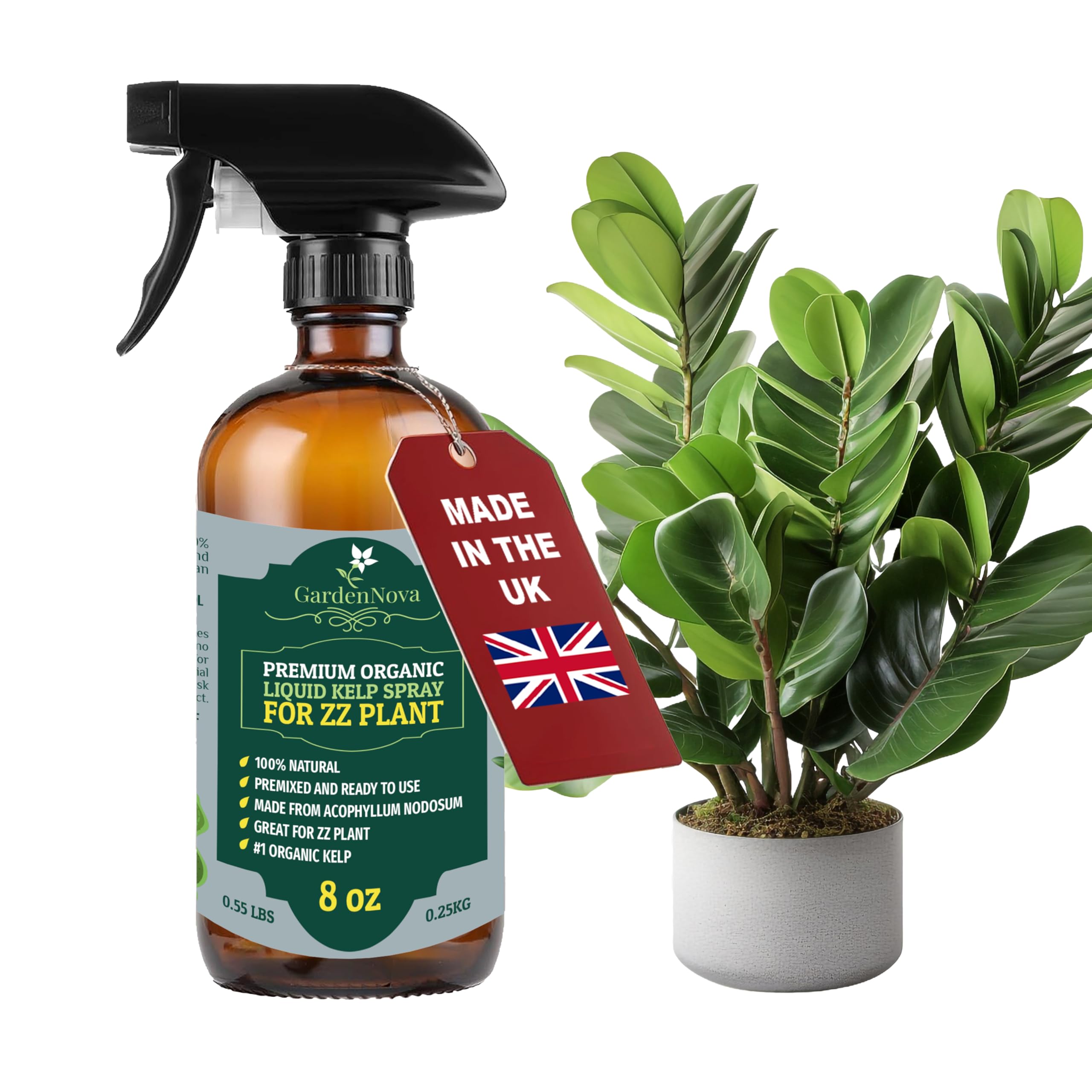 GARDENNOVA Professional Organic Liquid Kelp Spray for ZZ Plant Plants - 8 oz - Ready-to-Use Fully Organic Seaweed & Kelp Fertilizer Mist — image 1