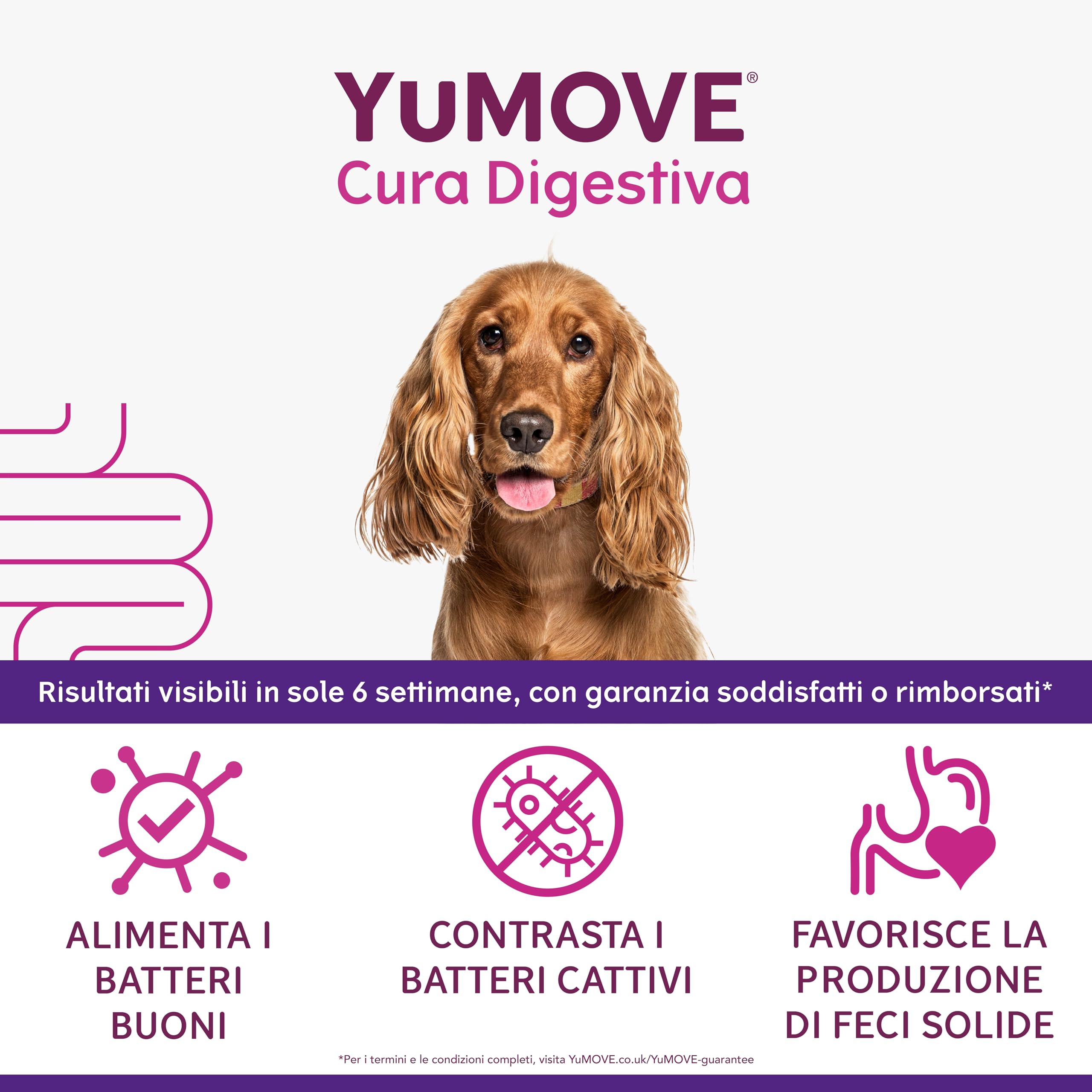 YuMOVE Fermenti Lattici Cane & Probiotici per Cani - 120 Compresse - 200 Mio CFU Enterococcus faecium per Compressa + ActivBio Prebiotici con Beta-Glucani - Probiotico Digestivo per Cani & Supporto