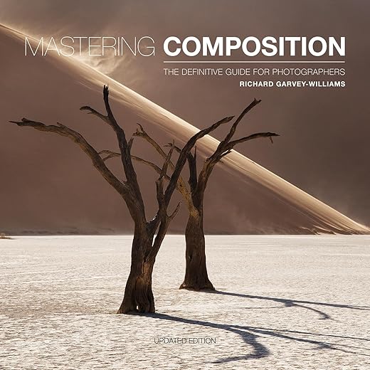 Mastering Composition Photography Guide