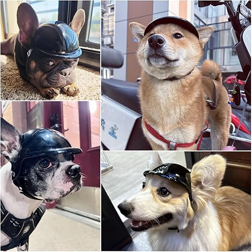 Miniatura 2 de Namsan Casco para perros pequeños y medianos, cascos de motocicleta con orificios para las orejas, casco para exteriores para protección de la