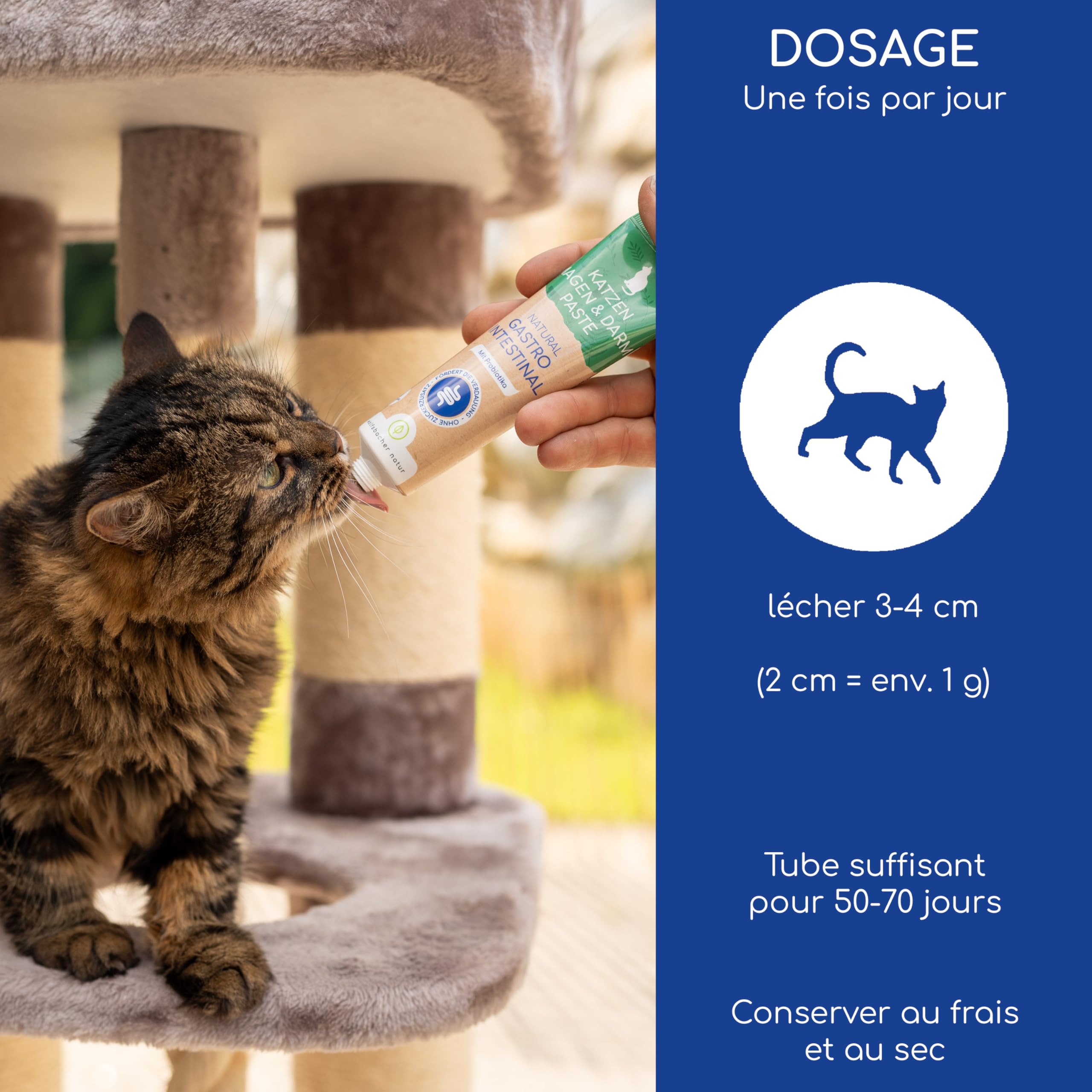 Pâte Gastro-Intestinale pour Chats – avec Probiotiques & Écorce d'Orme pour la Flore Intestinale – Soutient la Digestion & l'Estomac – Snack Doux 100g