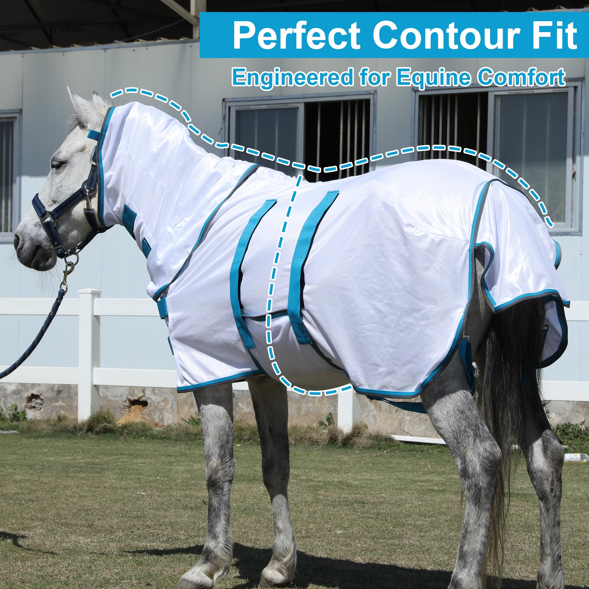 LEAFOREST Sábana de caballo en miniatura con cubierta para el cuello y banda para el vientre | Sábanas de verano de malla transpirable con protección UV para mini caballos, potros, burro, blanco, 147 cm