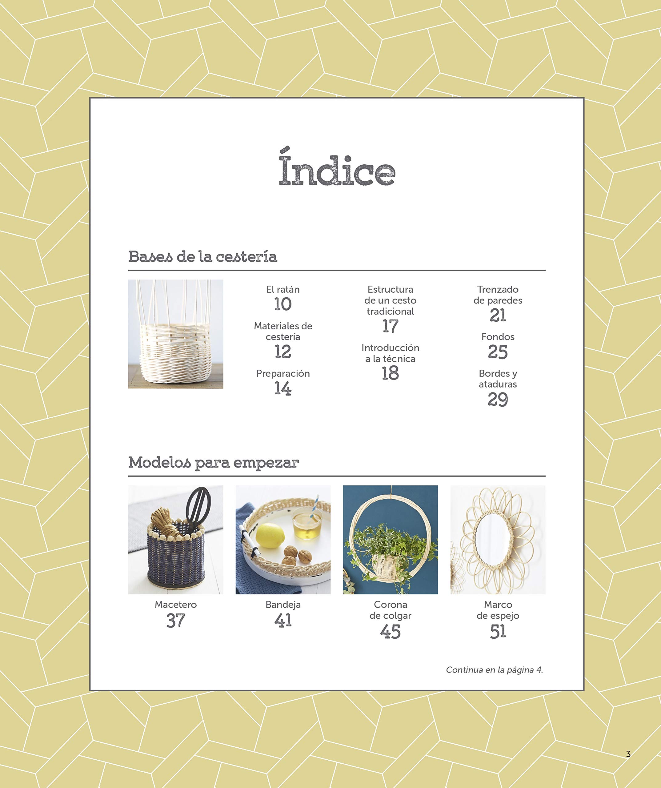 Cestería paso a paso: Iniciación a las técnicas y 22 proyectos