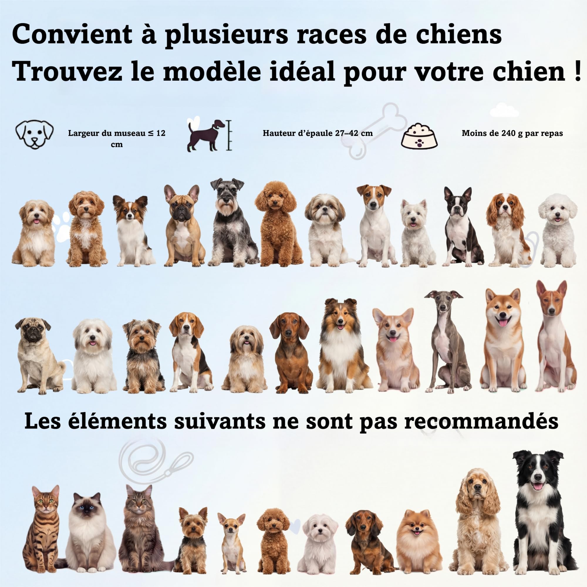 Gamelle Chien Anti-glouton surélevée Set - gamelles céramique avec Support Plastique antidérapant - Bol Alimentation Lente et Bol d’Eau pour Chiens de Petite et Moyenne Taille