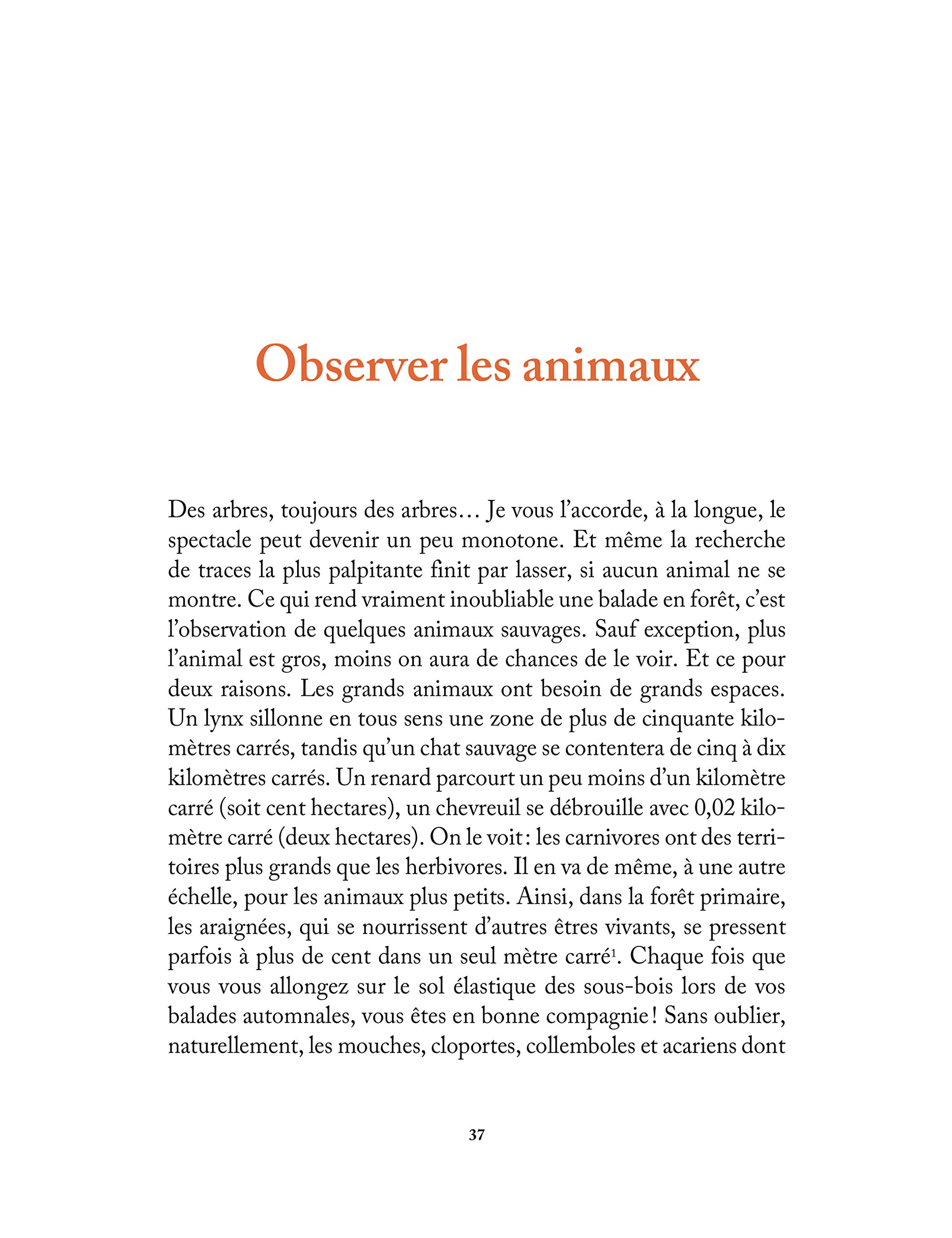 Marcher dans les bois - Le guide amoureux de la forêt