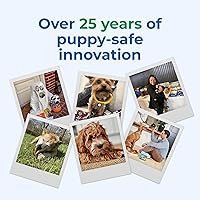 Vista 8 de N-Bone Palitos de dentición para cachorros sabor calabaza, bolsa de 3.74 onzas