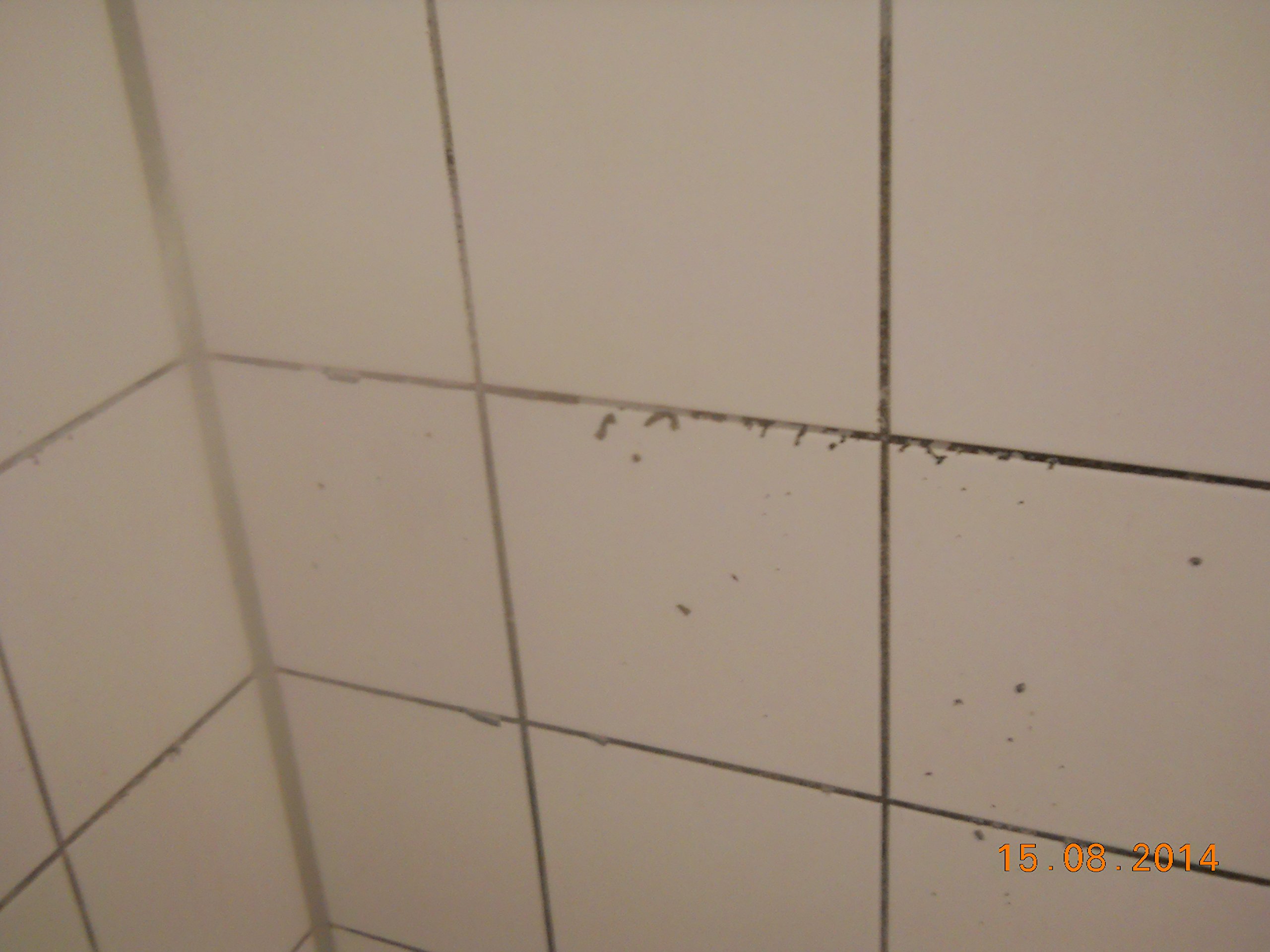 Sanitärreiniger GRUNDREINIGER VOLLKONZENTRAT Kraftgel, 3785 (5 L SaniGrundreiniger + kl-Hahn), Kalkreiniger, Badreiniger,