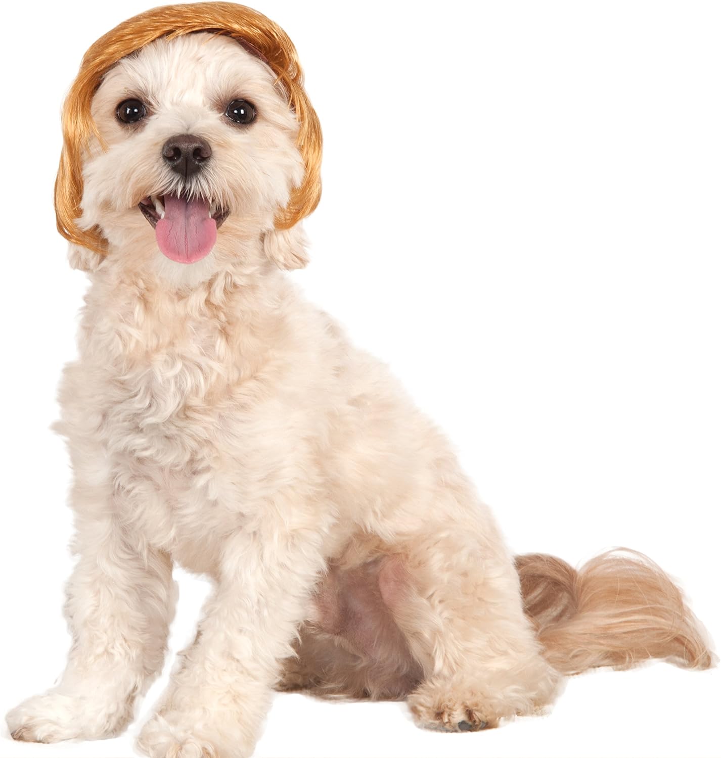 Rubie's Political Billionaire Wig for Pets, Small/Medium