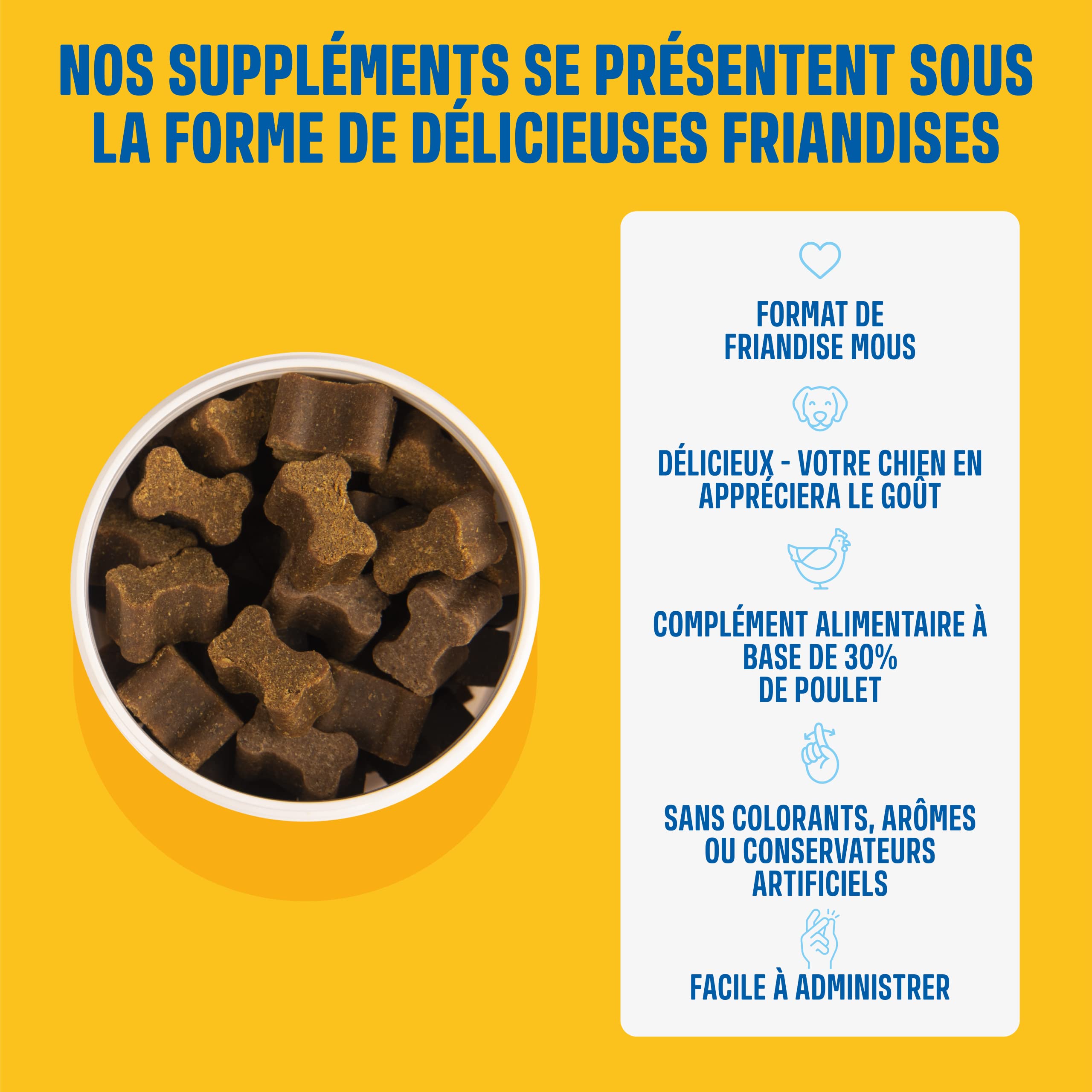 ivvi - Hip and Joint - Articulations, Anti-Arthrose - Complément Alimentaire pour Chien, Hautement Concentré - MSM, Moule à Lèvres Vertes, Glucosamine - 60 Friandises au Poulet, 270g