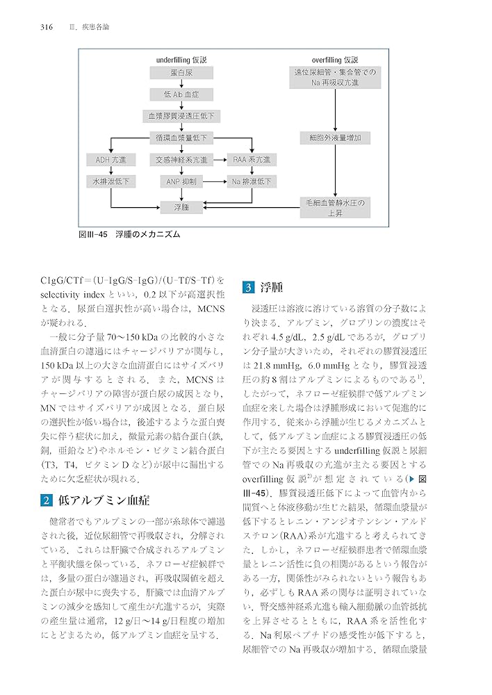専門医のための腎臓病学 第3版 | 内山 聖, 富野 康日己, 今井