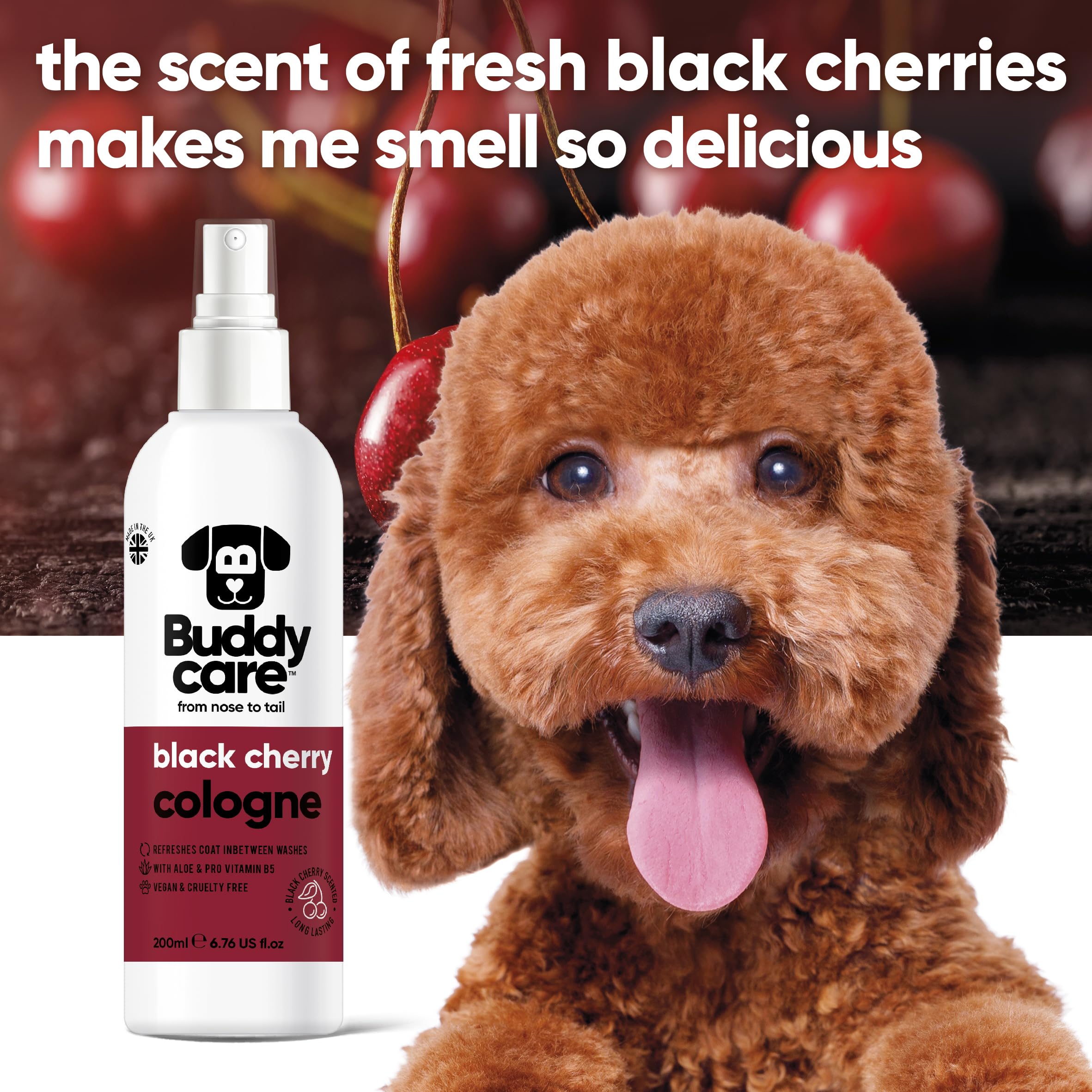 Amazon.com: Buddycare Dog Cologne - Black Cherry - 200ml - Fruity