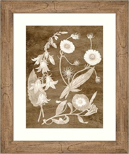 Miniatura 6 de Amanti Art Framed Wall Art Print (17x21) Botanical in Taupe III by Vision Studio Framed Poster for Wall Decor, Living Room, Bedroom, Bathroom,