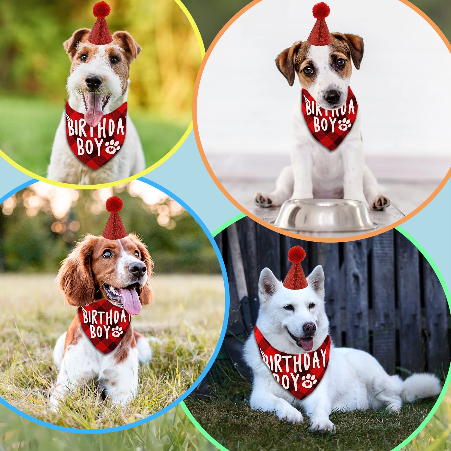 Cappellini E Bandana Per Cani - Set Completo Per Feste Di Compleanno - Foto 3