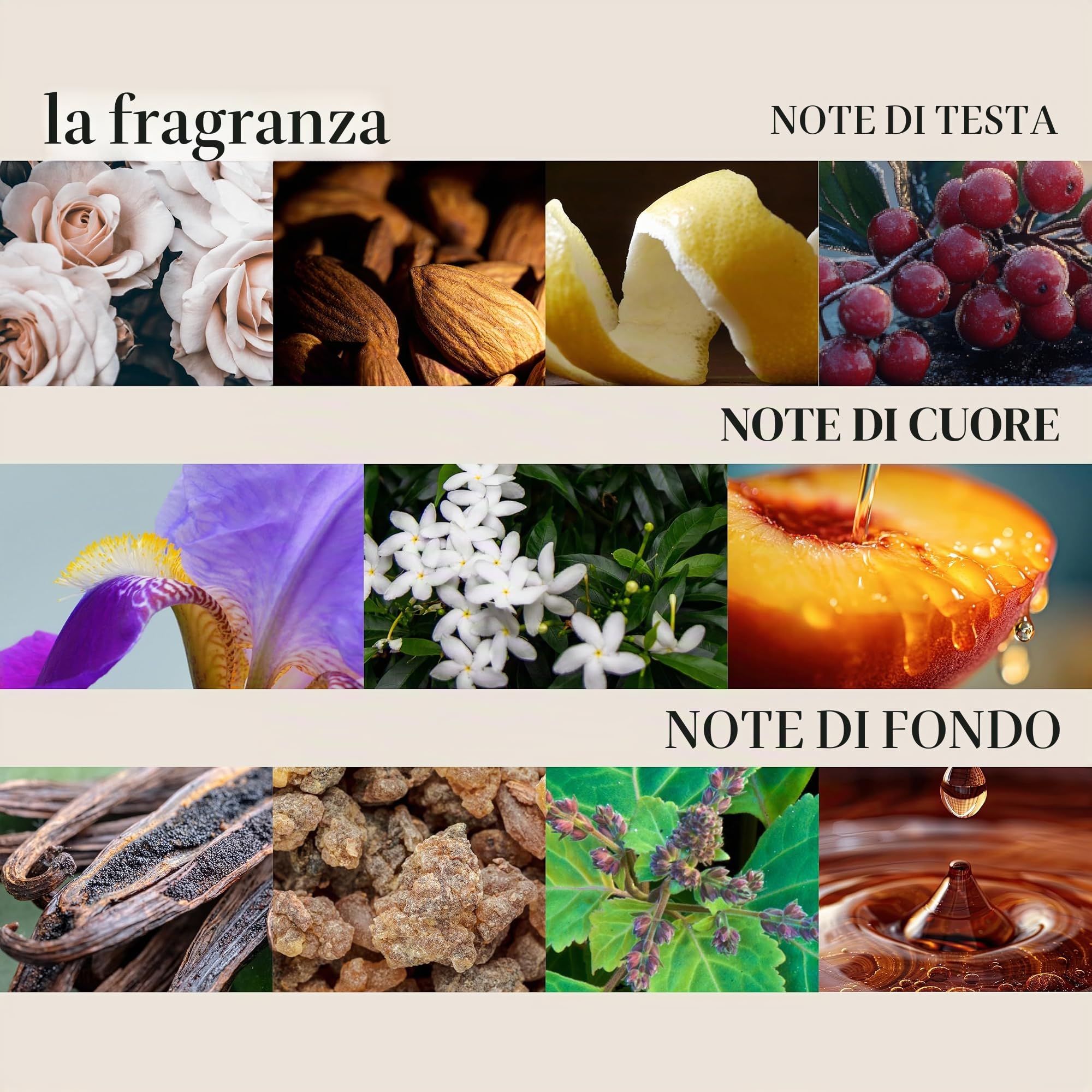 l'anza Olio per Capelli, 100 Millilitri