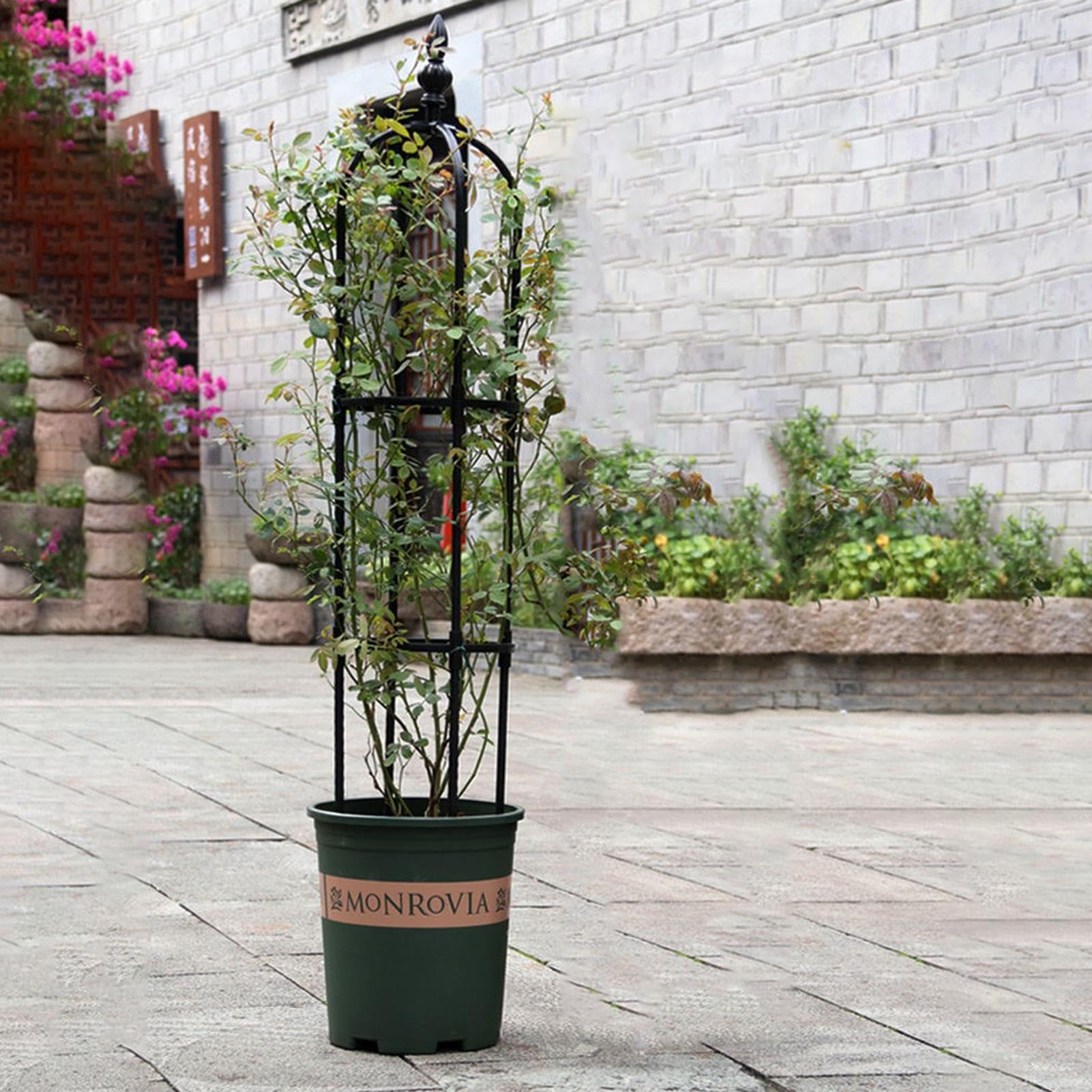 Amazon | 植物支柱 園芸支柱 トレリス 90/120/150/180/210cm 花ささえ  