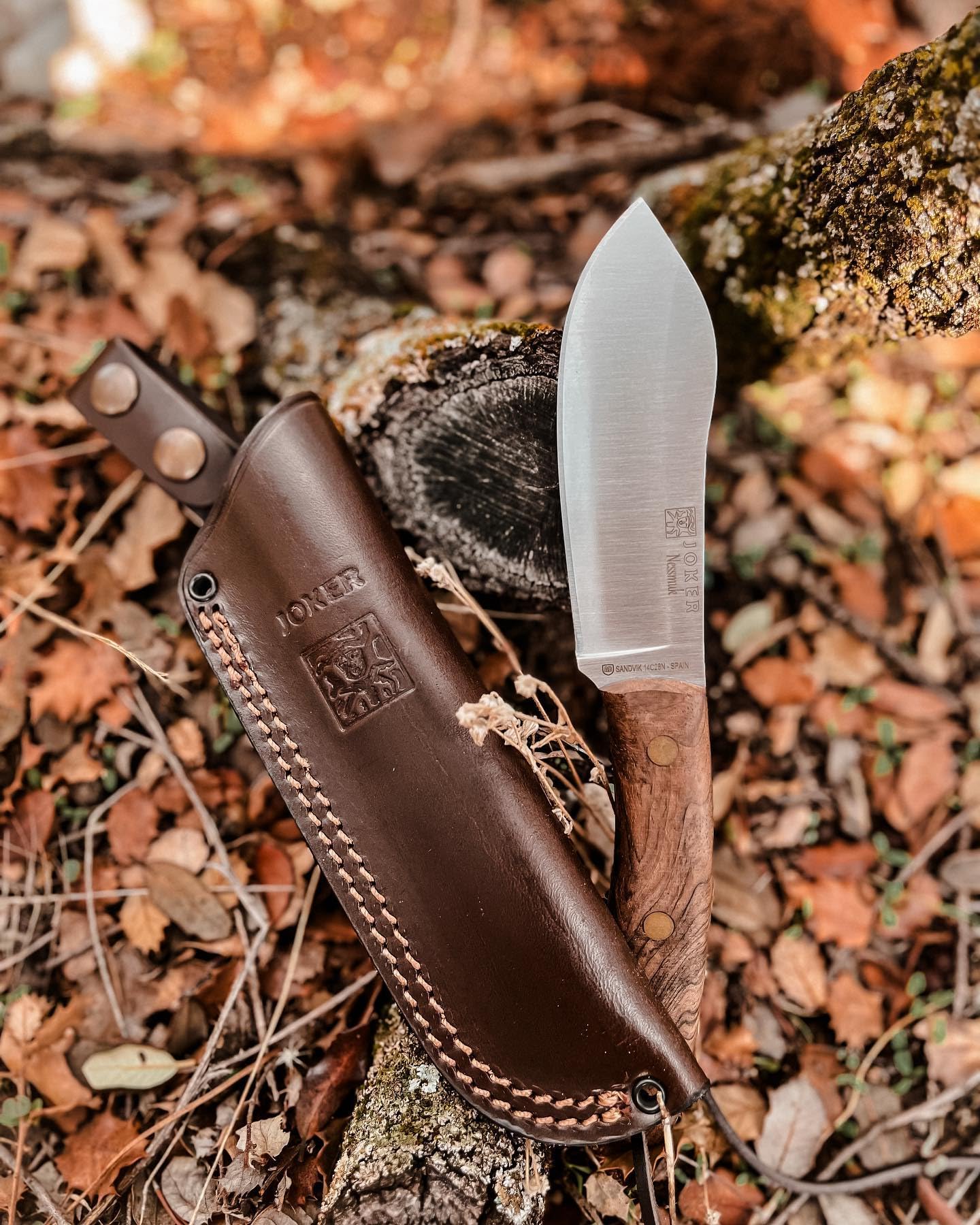 joker Coltello da caccia Nessmuk CN136, manico in noce, lama Sandvik 14C28N da 11 cm con affilatura piatta, con fodero in pelle marrone, di pesca, caccia, campeggio e trekking.