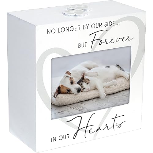 Malden International Designs 3.5x5 Forever In Our Hearts Memorial Pet Urn Four sided Screenprinted White Wood Urn Paw Print Attachment Removable Bottom Panel