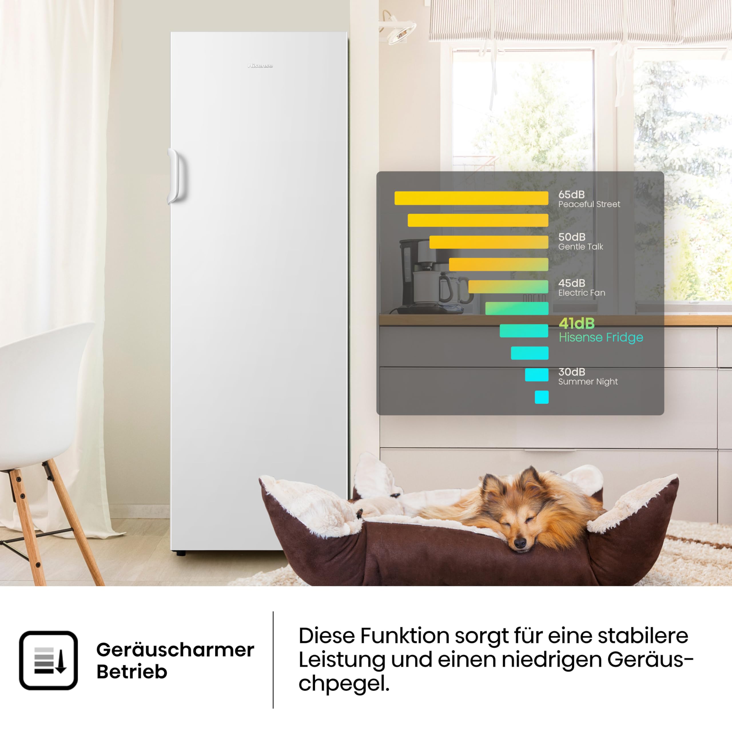 Hisense FV245N4AW2 Gefrierschrank TotalNoFrost SuperFreeze 194 l 41 dB 219 kWh Inox-Look Weiß