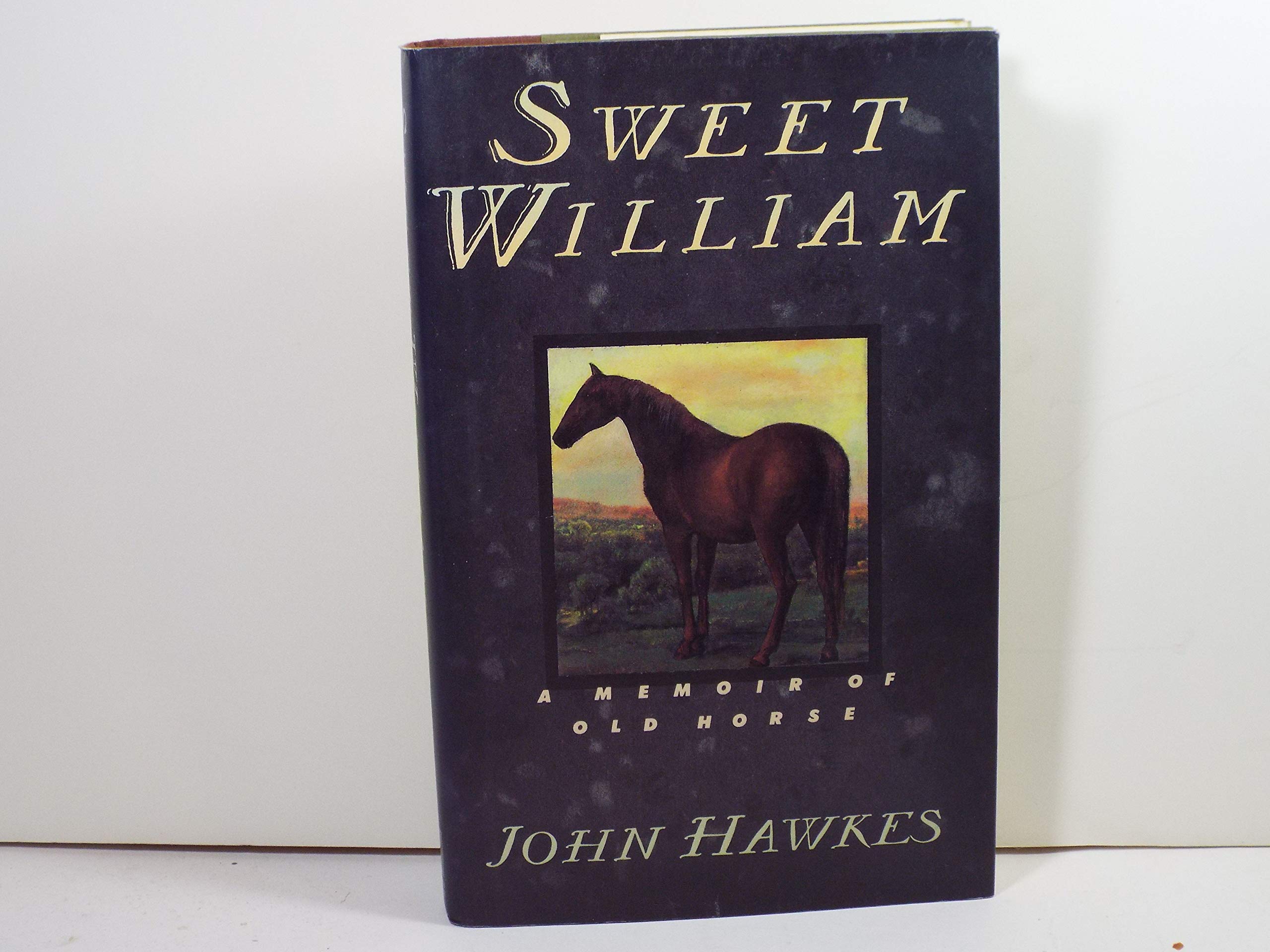 Buy Sweet William: A Memoir of Old Horse — BookShops.in