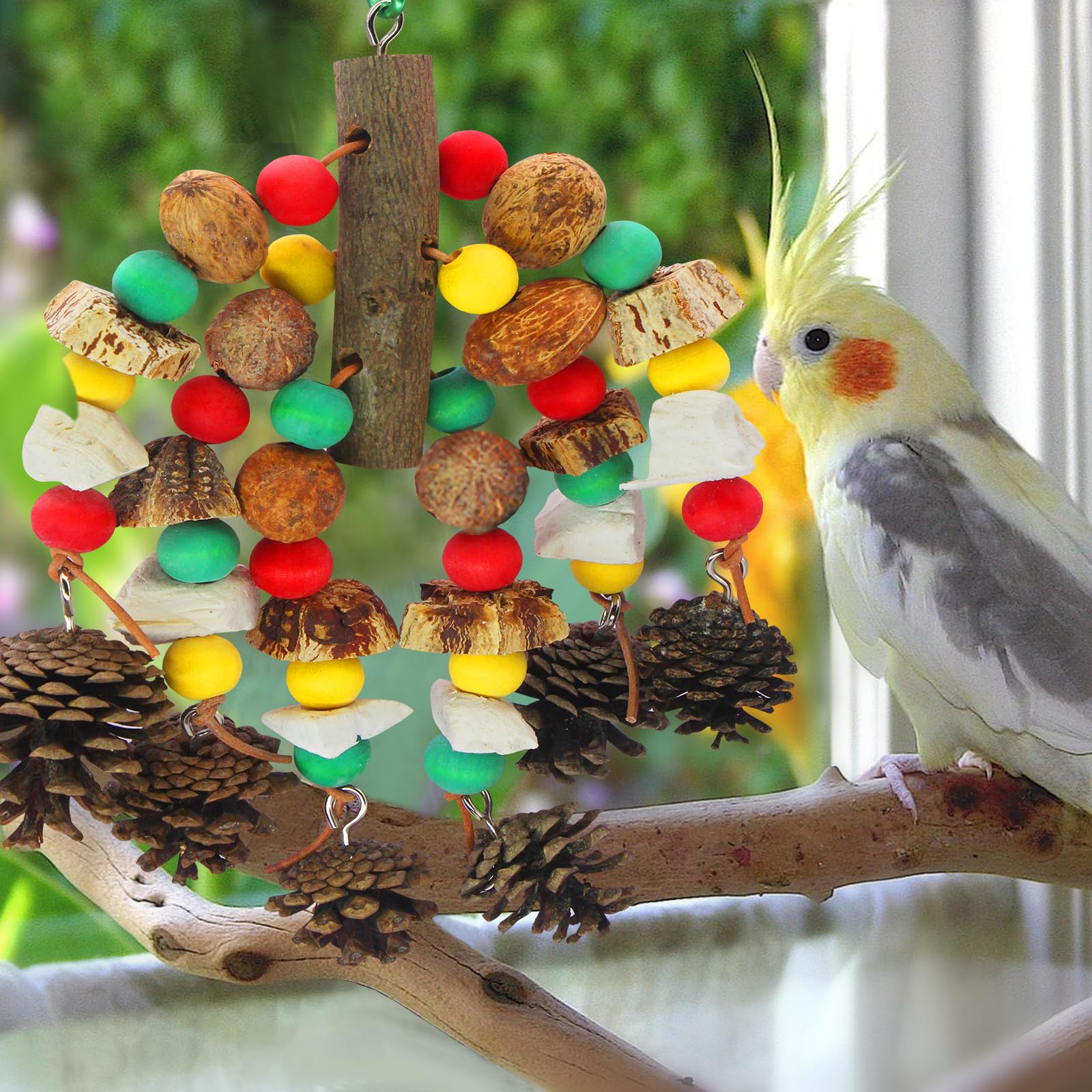 MQUPIN Papageienspielzeug, nussiges, nährstoffreiches Vogelspielzeug, natürliches hölzernes Beißspielzeug für Papageienkäfige, mit Tintenfischknochen, Kiefernzapfen, hölzernen Mangos und Karambole