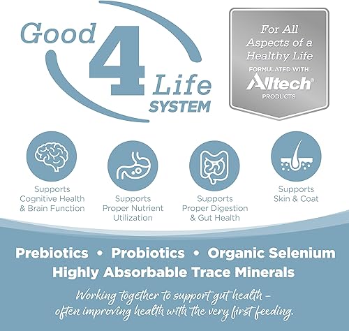 Miniatura 4 de NutriSource Element Series - Alimento para perros, hecho con egallo, trucha y pato, con granos de reliquia, 4 libras, comida seca para perros