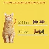 Ver la foto 7