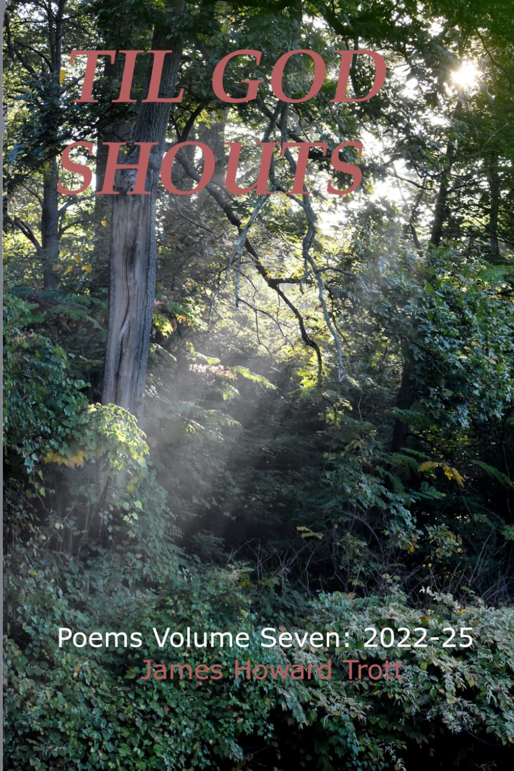 'Til God Shouts: Poetry Volume Seven: 2022-2025