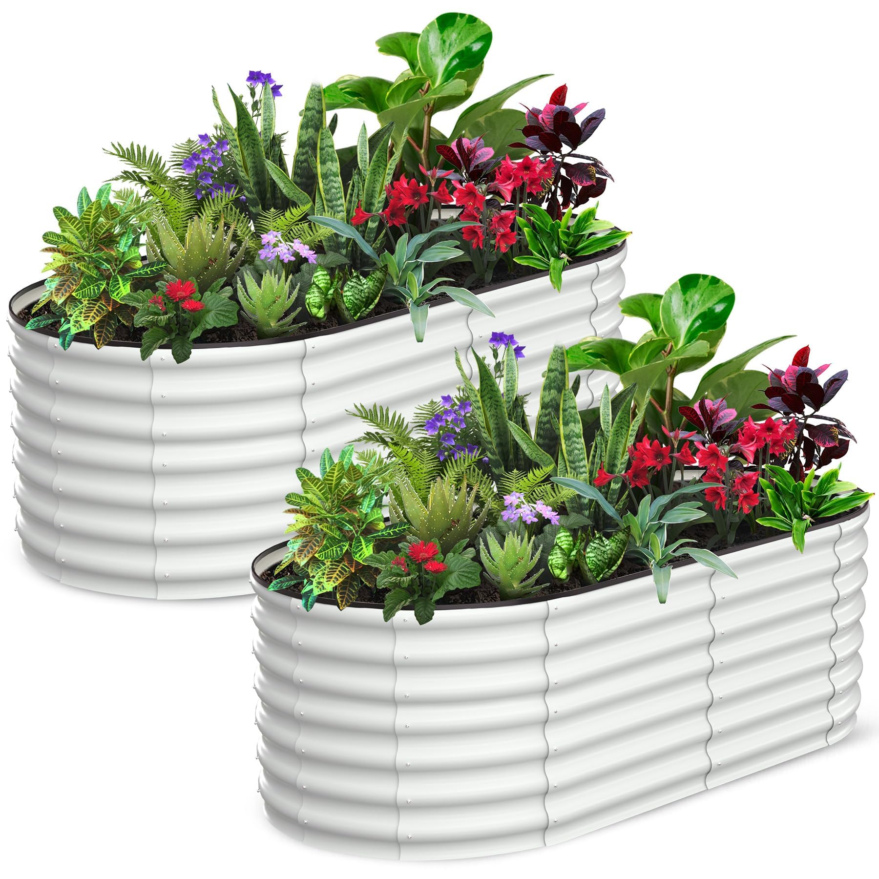 Set of 2 Oval Galvanized Steel Raised Garden Beds for Outdoor Gardening Enthusiasts – Large Planter Boxes Featuring Open Bottom Design for Superior Drainage and Aeration, Protective Safety Edges Ideal