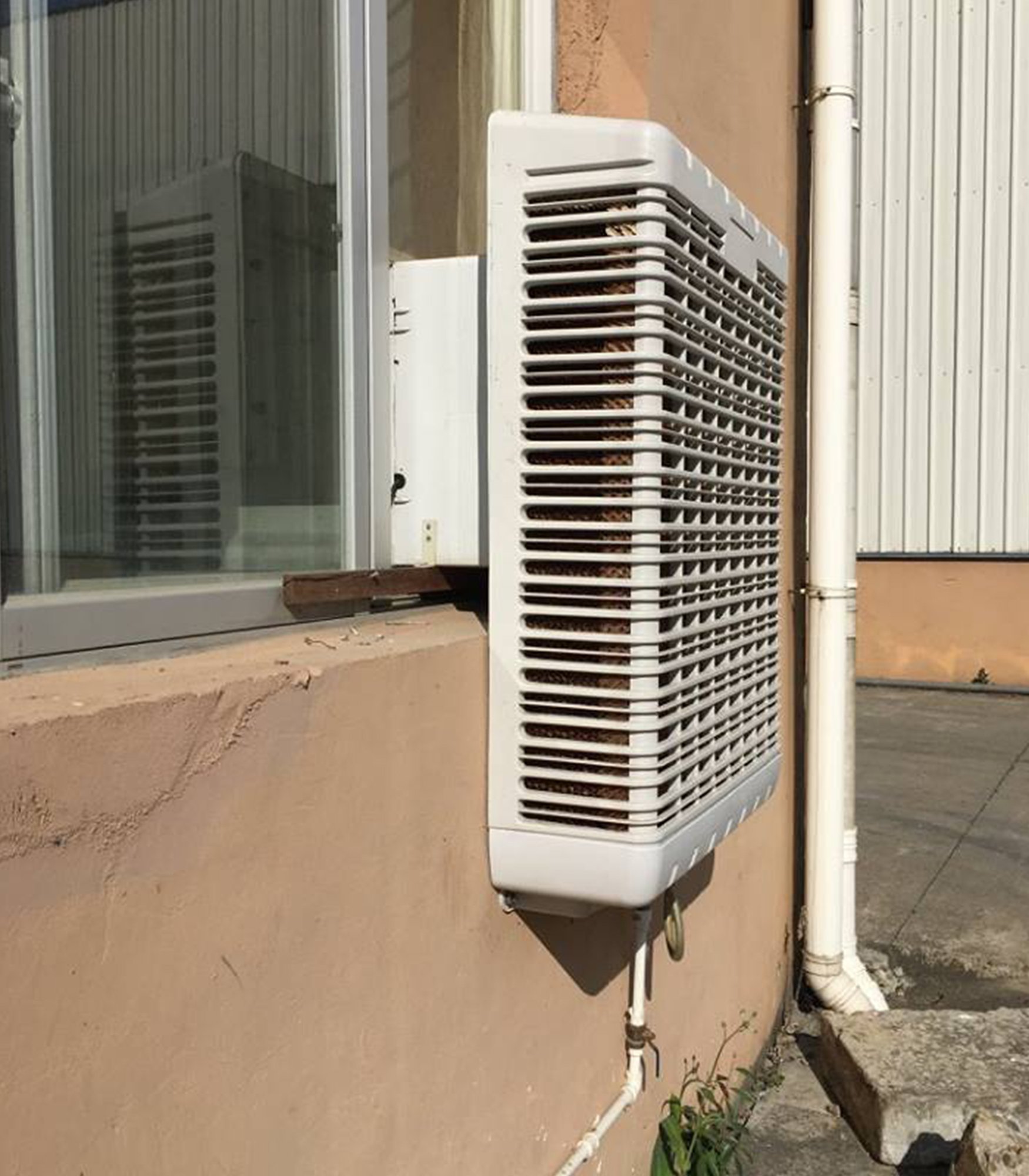 Climatizador evaporativo a pared PARS EcoTech ECOwall-6000 con caudal de 6.000m3/h REALES