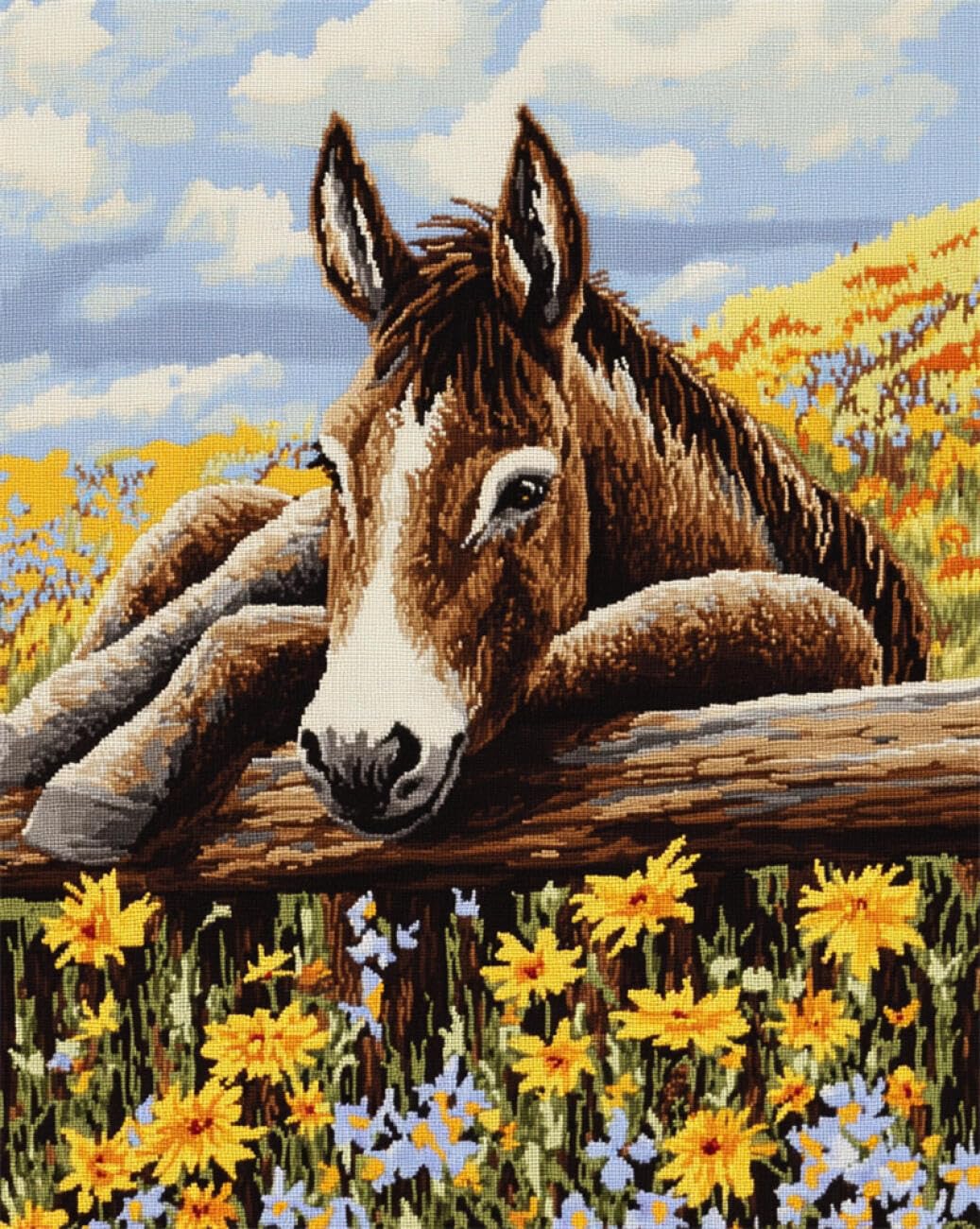 AMBATTERY Animal Latch Hook Rug Kit Fantasy Donkey Latch Hook Rug Kits for Adults Crochet Set for Beginners，Carpet Making Kit with Printed Canvas，Gift 33x45in