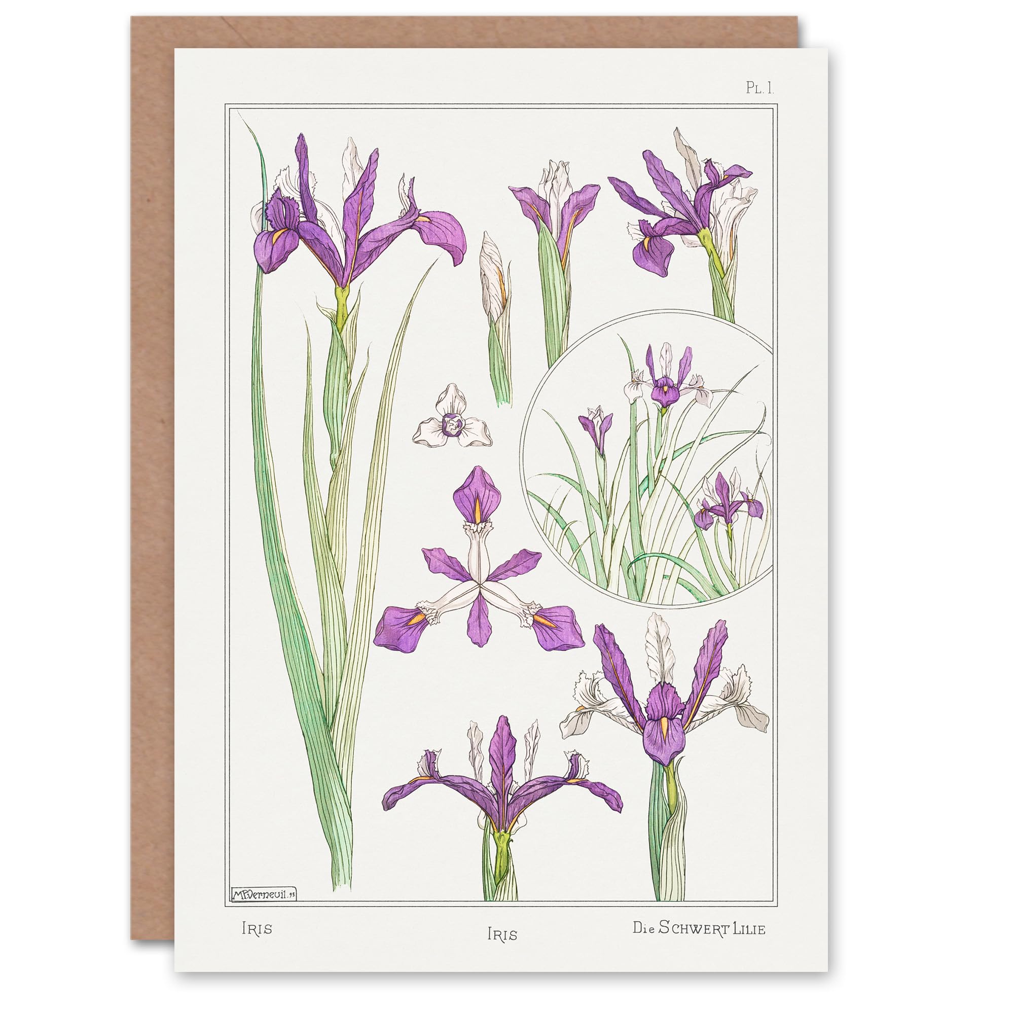 Artery8 Maurice Pillard Verneuil Art Card Purple Iris Flower