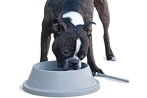 K&H Heated Food and Water Bowl for Outdoor Cats