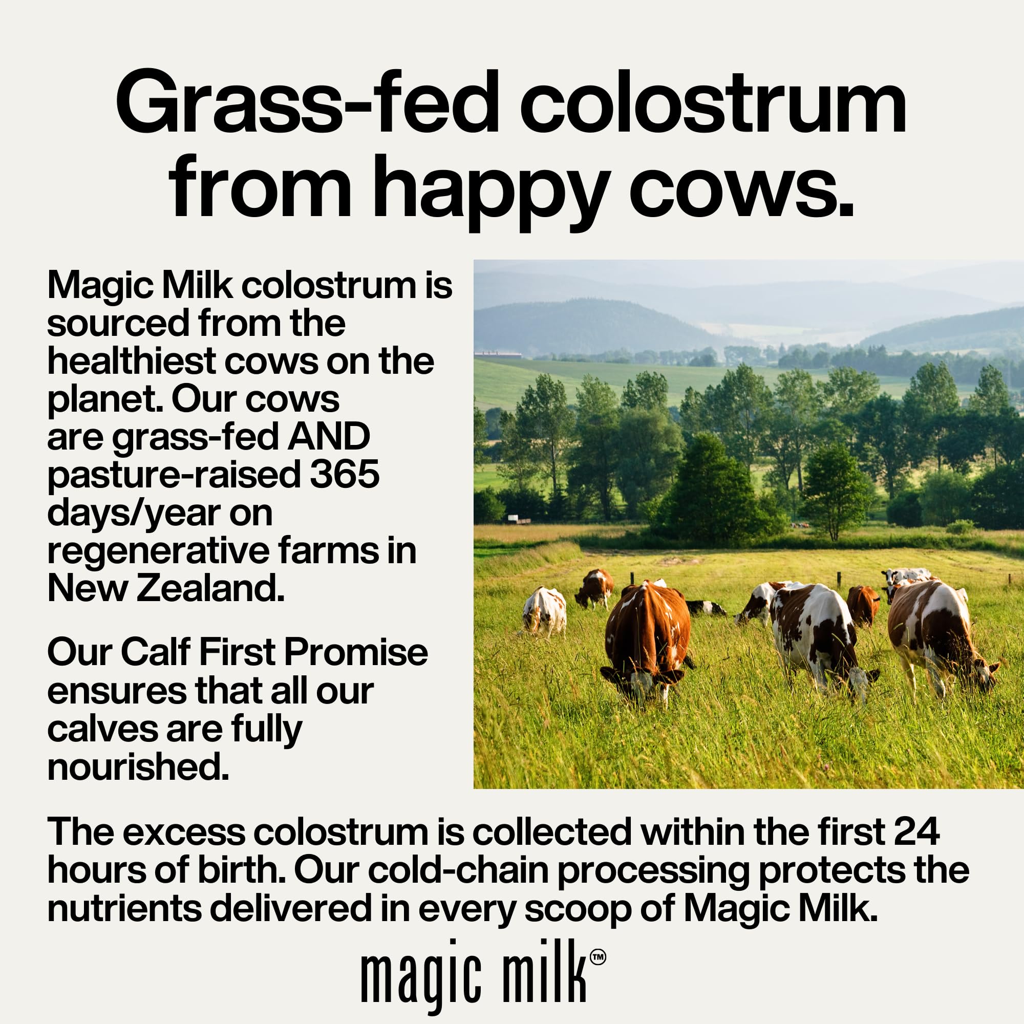Fasted Athlete - Magic Milk | Colostru, Plus Collagène Peptides | Chocolat au lait | Soutient la santé intestinale, le gonflement, la peau et les cheveux, l'immunité, la récupération musculaire |