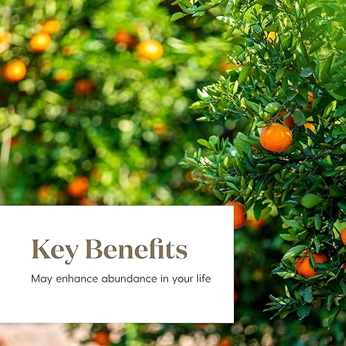 Vista 281 de Aceite esencial de franquincienso, 0.17 onzas líquidas, de Young Living Essential Oils